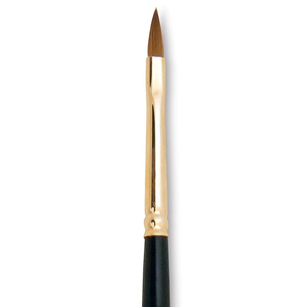 Silver Brush Renaissance Red Sable Brush - Cat's Tongue, Long Handle, Size 2 close up