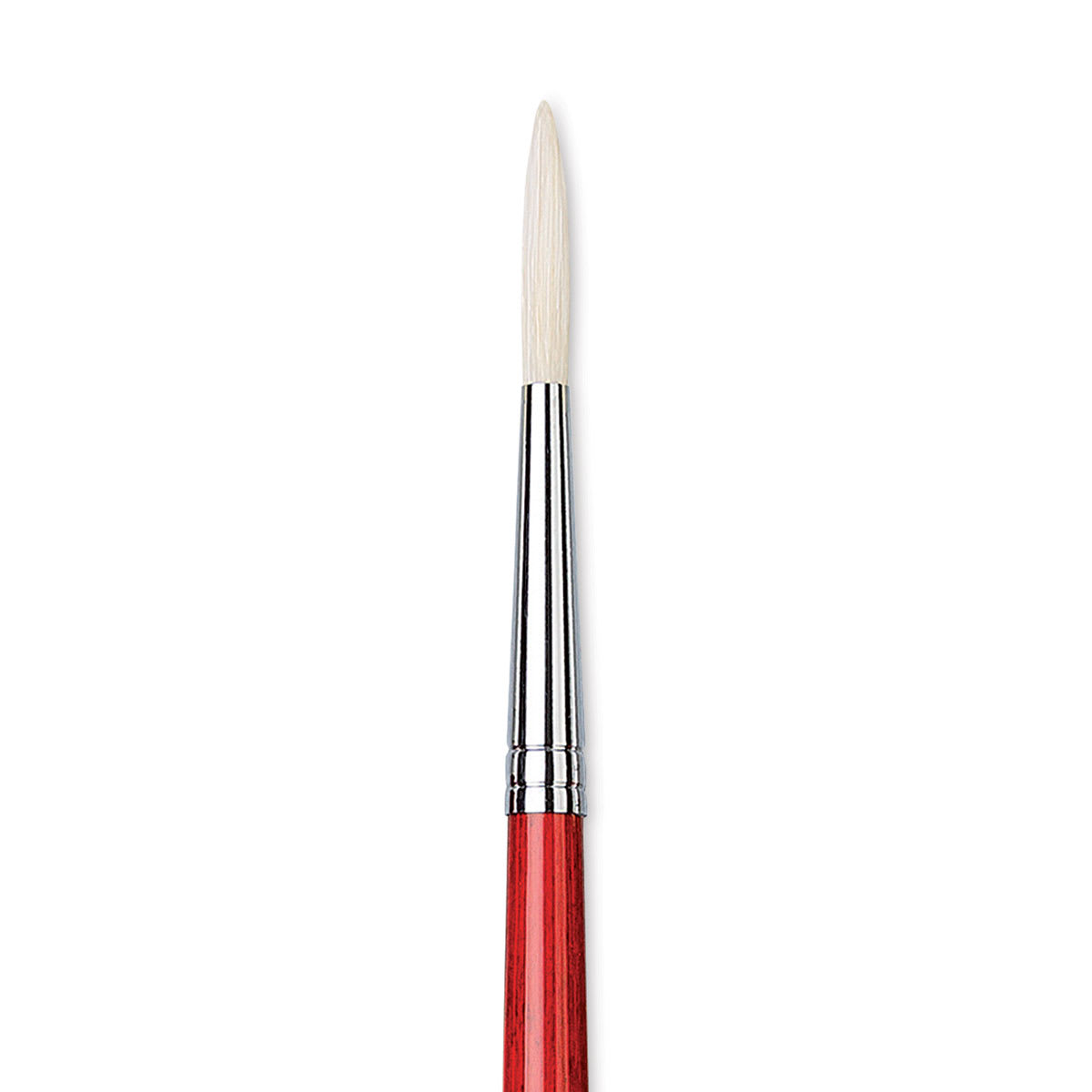 Da Vinci Maestro 2 Hog Bristle Brush - Long Round, Long Handle, Size 6 close up