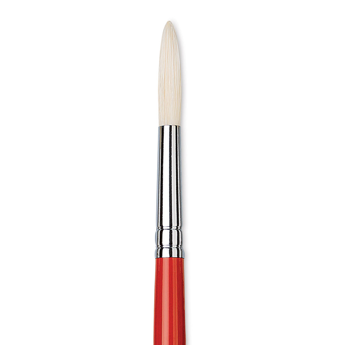 Da Vinci Maestro 2 Hog Bristle Brush - Long Round, Long Handle, Size 12 close up