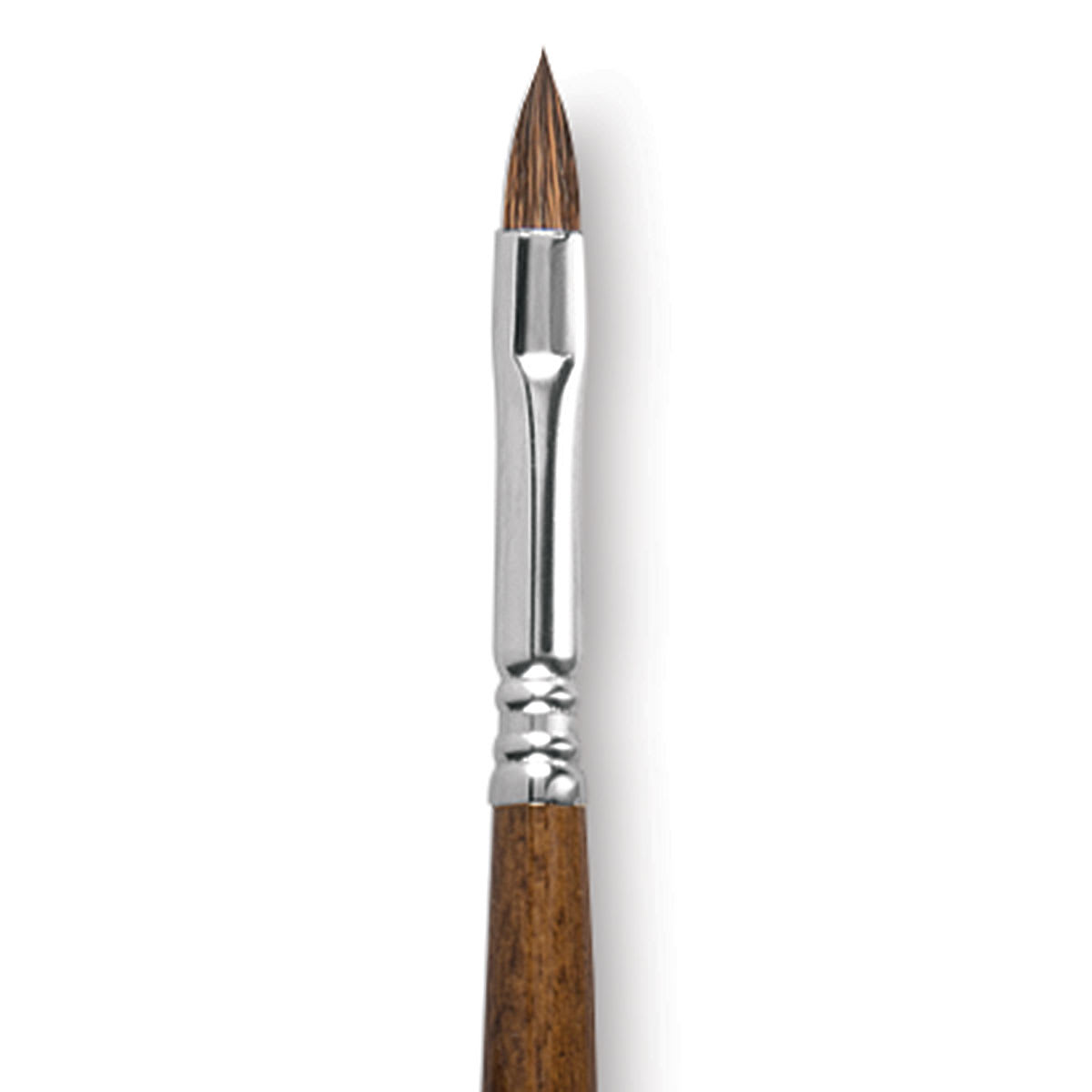 Escoda Versatil Brush - Filbert, Size 8, Long Handle close up