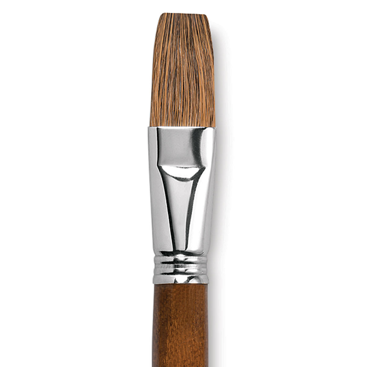 Escoda Versatil Brush - Flat, Size 24, Long Handle close up