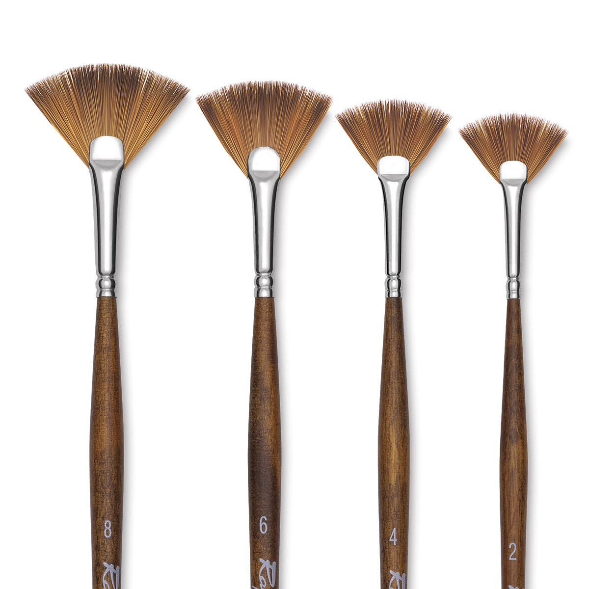 Raphaél Precision Brushes - Closeup of 4 Fan brushes shown 