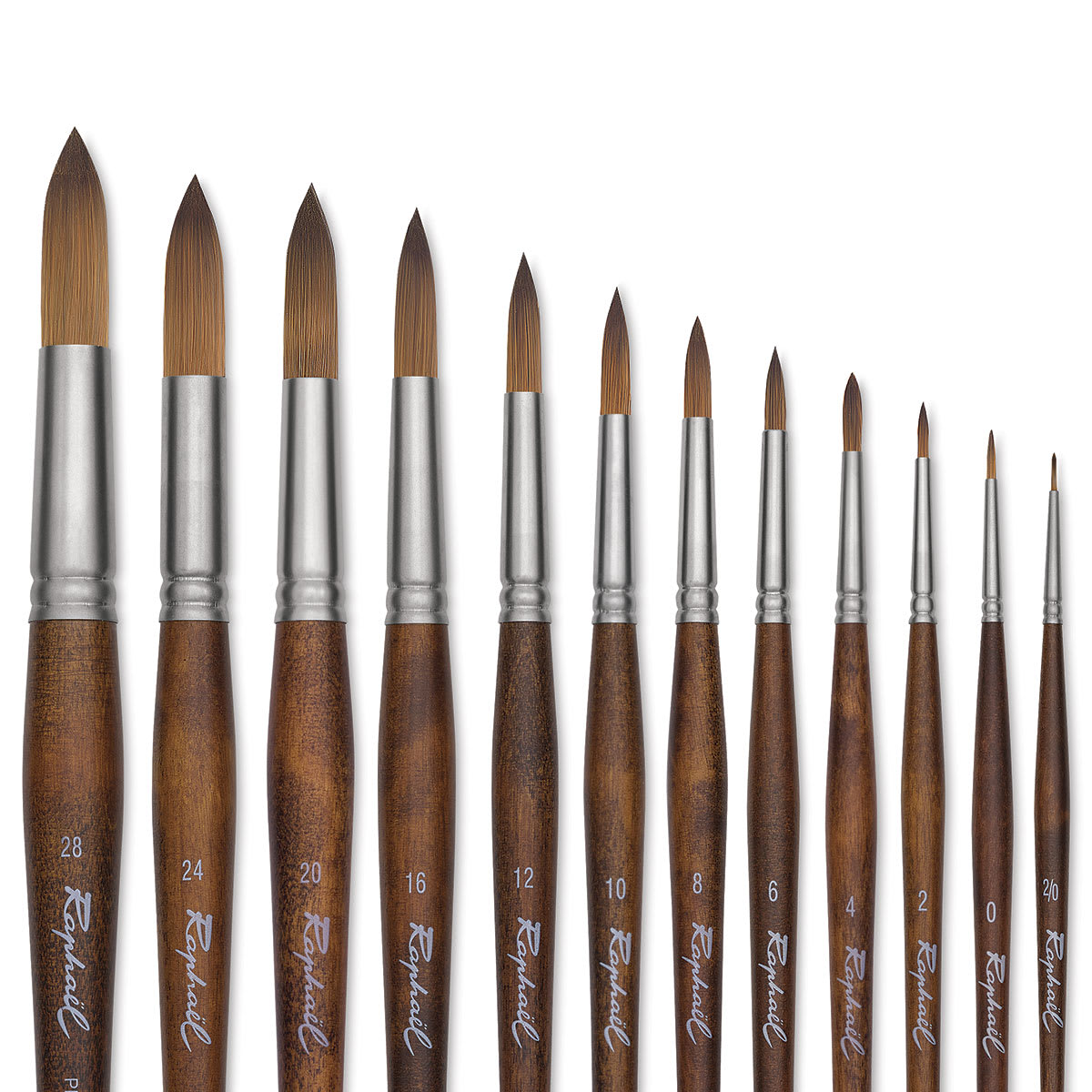 Raphaél Precision Brushes - Closeup of 12 Round long handle brushes shown 