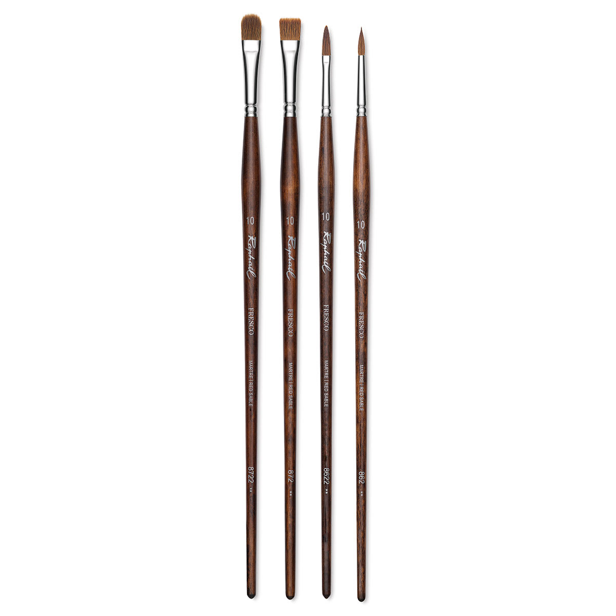 Raphaël Fresco Red Sable Brushes - Various types of brushes upright
