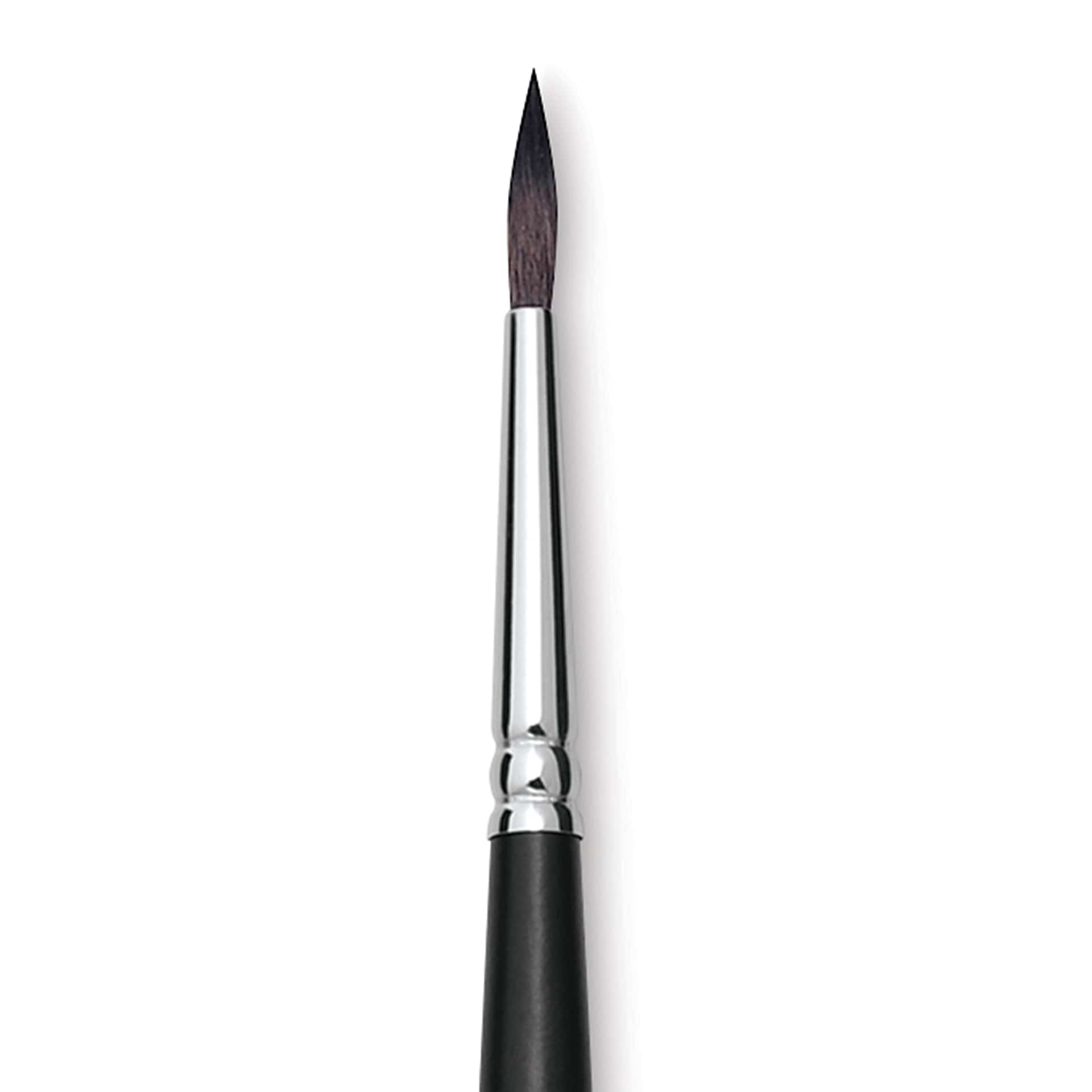 Raphaël Soft Aqua Brush - Round, Size 8, Short Handle