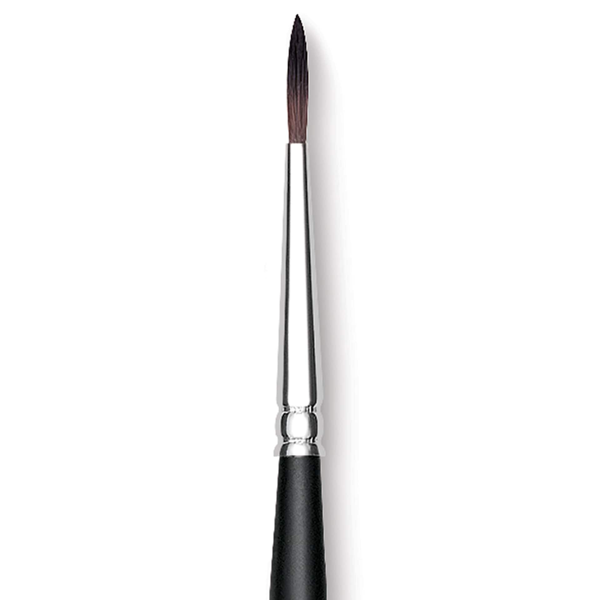 Raphaël Soft Aqua Brush - Round, Size 4, Short Handle