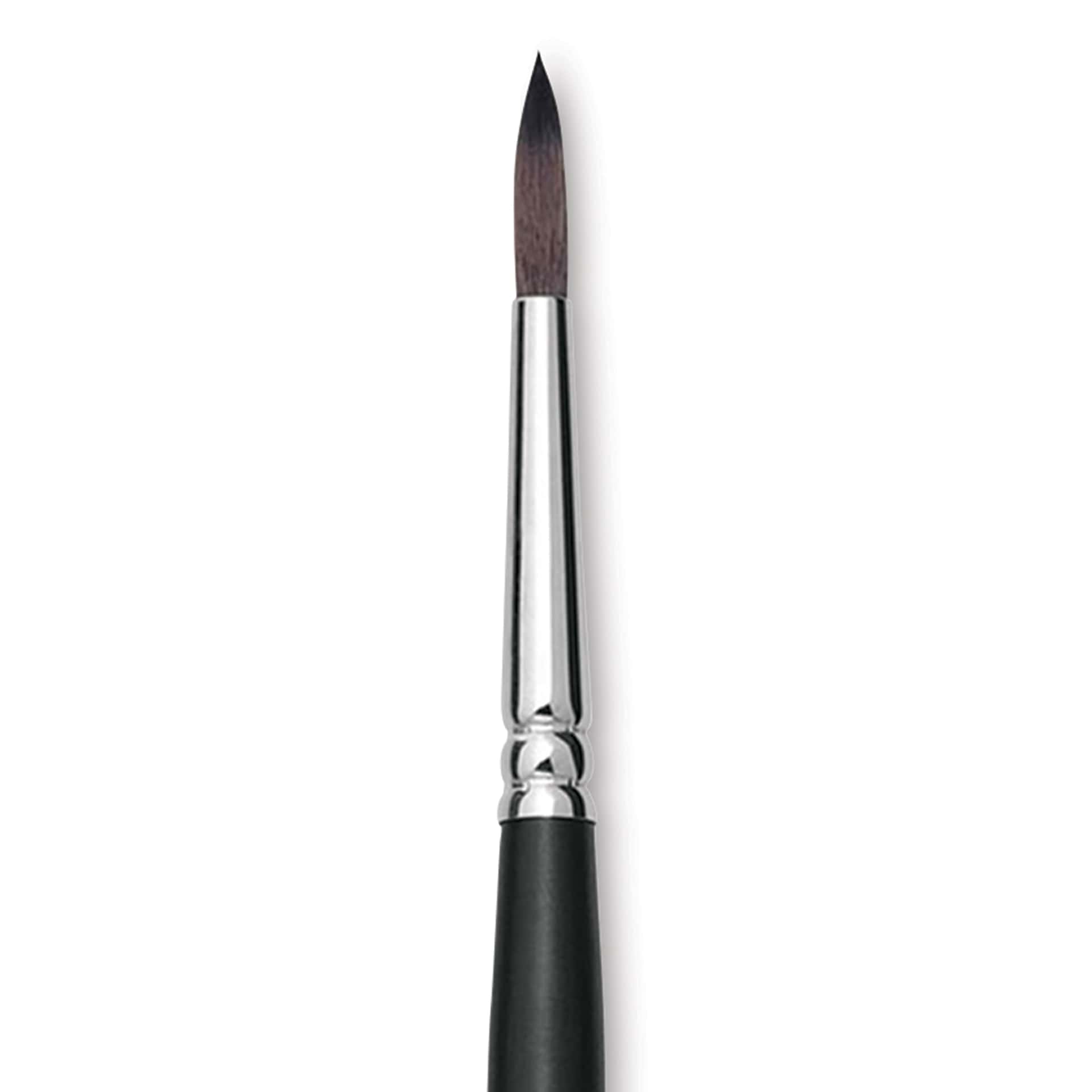 Raphaël Soft Aqua Brush - Round, Size 10, Short Handle
