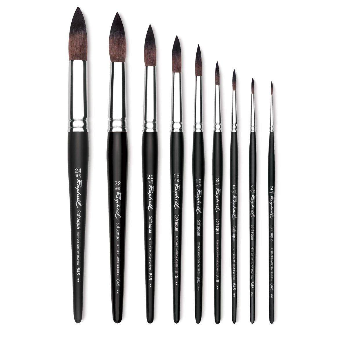 Raphaël Soft Aqua Brush - Full length shot of range of Round brushes shown Raphaël Soft Aqua Brush - Full length shot of range of Round brushes shown