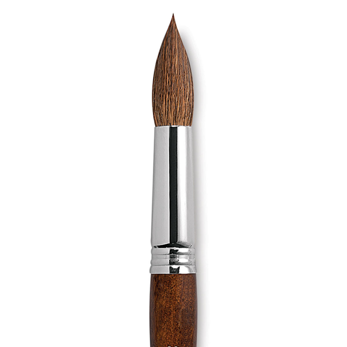 Escoda Versatil Brush - Pointed Round, Size 20, Short Handle close up