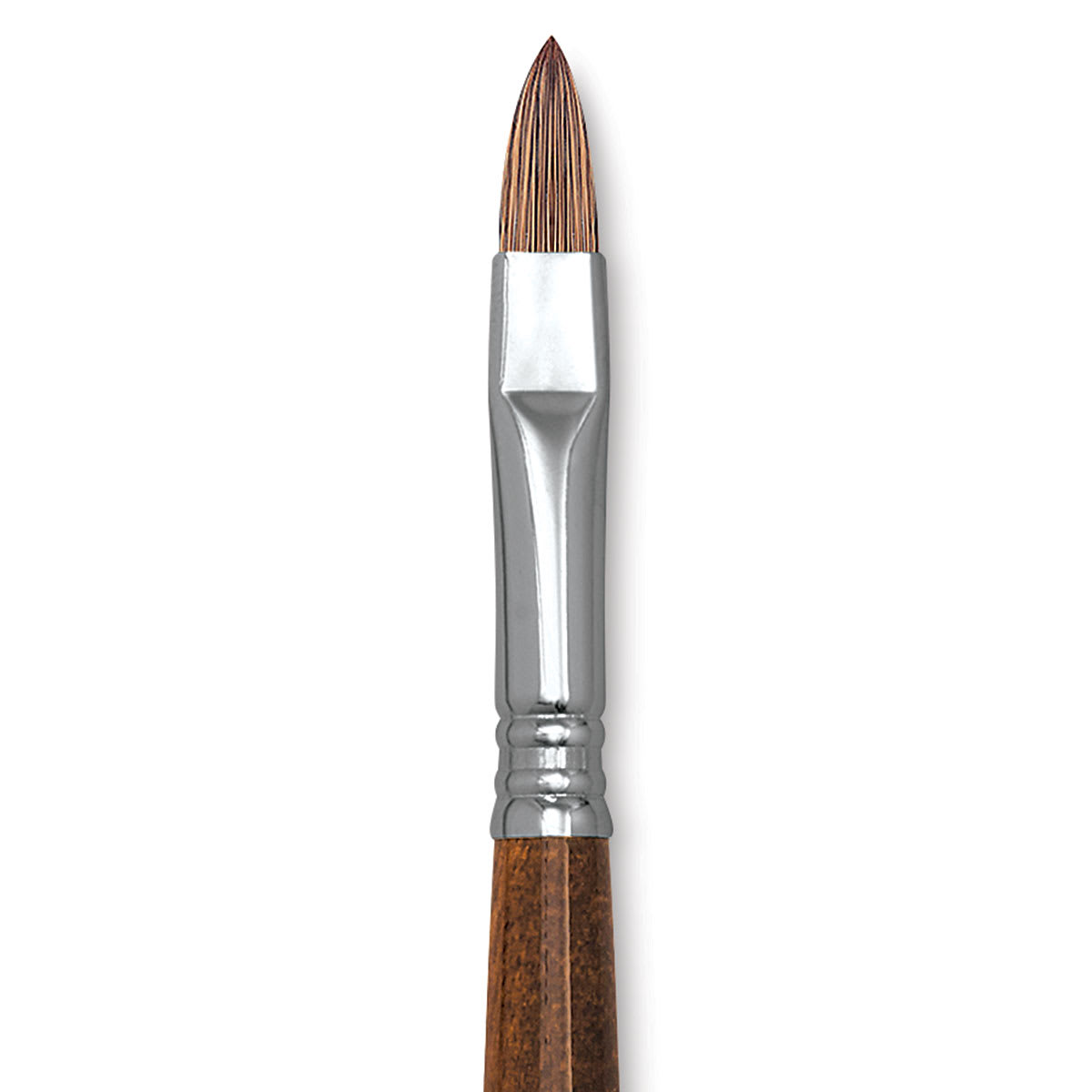 Escoda Versatil Brush - Filbert, Size 10, Short Handle close up