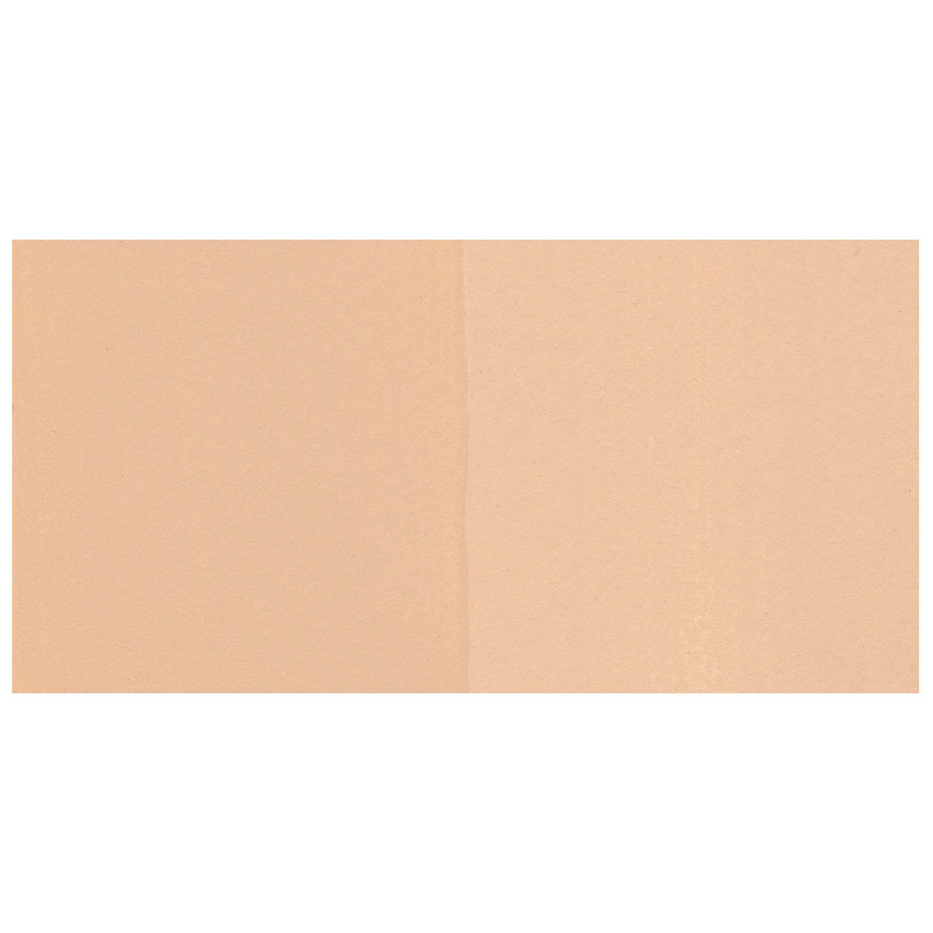 Golden SoFlat Matte Acrylic Paint - Titan Mars Pale swatch