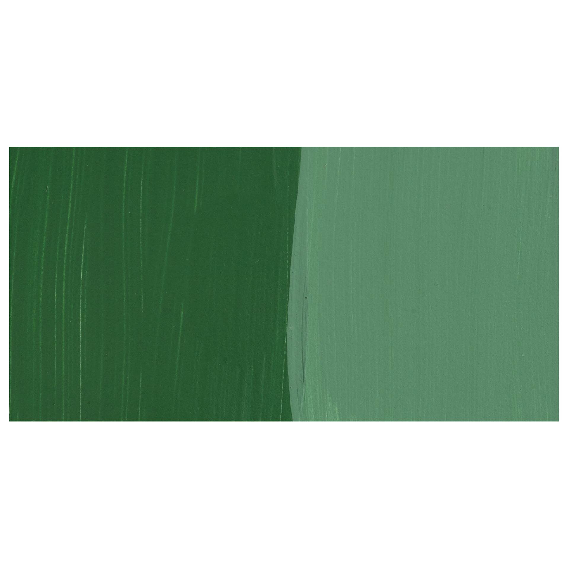 Golden Paintworks Mural and Theme Acrylic Paint - Chrome Oxide Green swatch