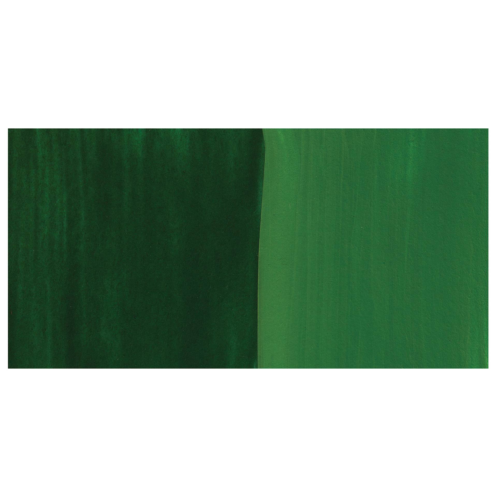 Daler-Rowney System3 Fluid Acrylic - Sap Green swatch