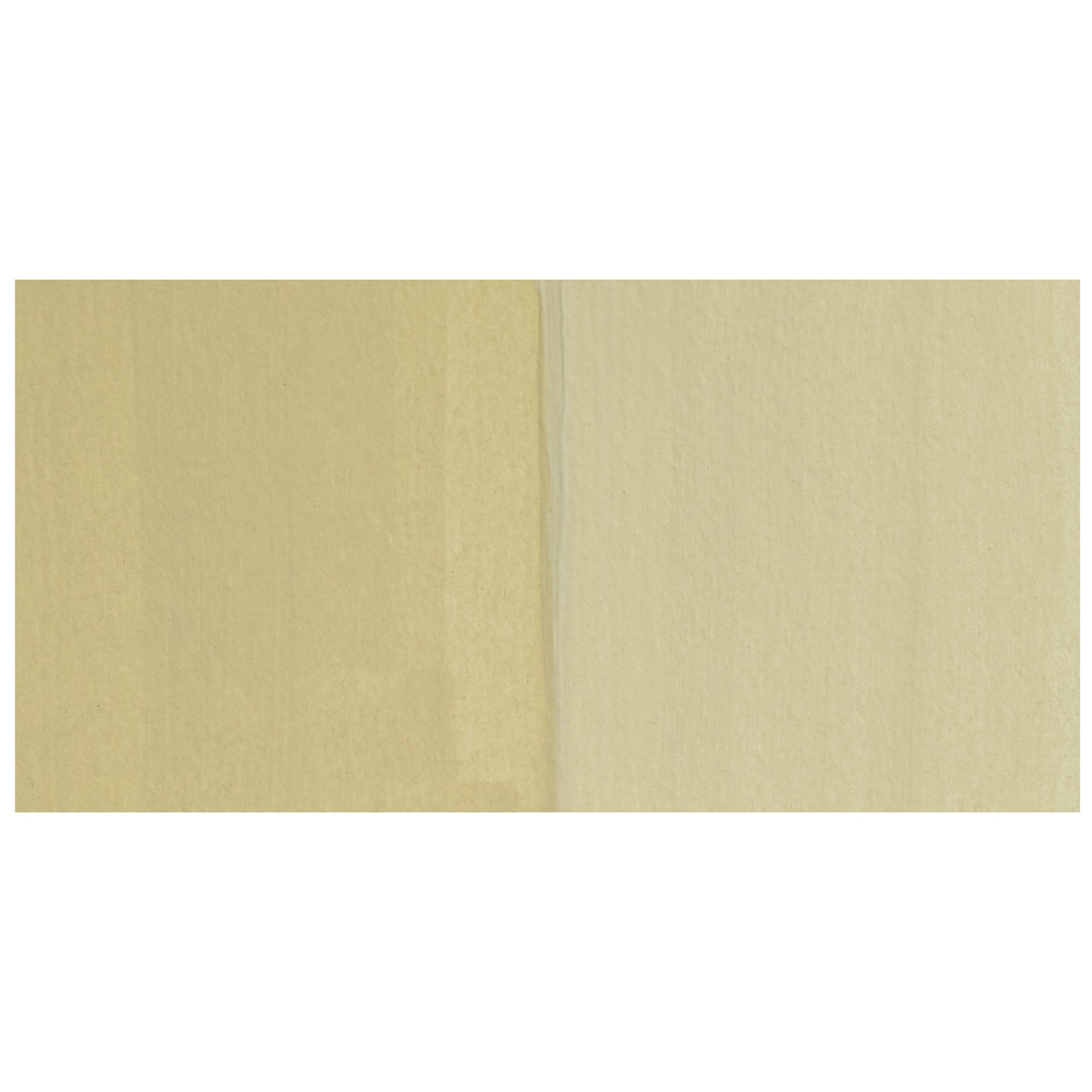 Liquitex Basics Acrylic Fluid Paint - Unbleached Titanium swatch