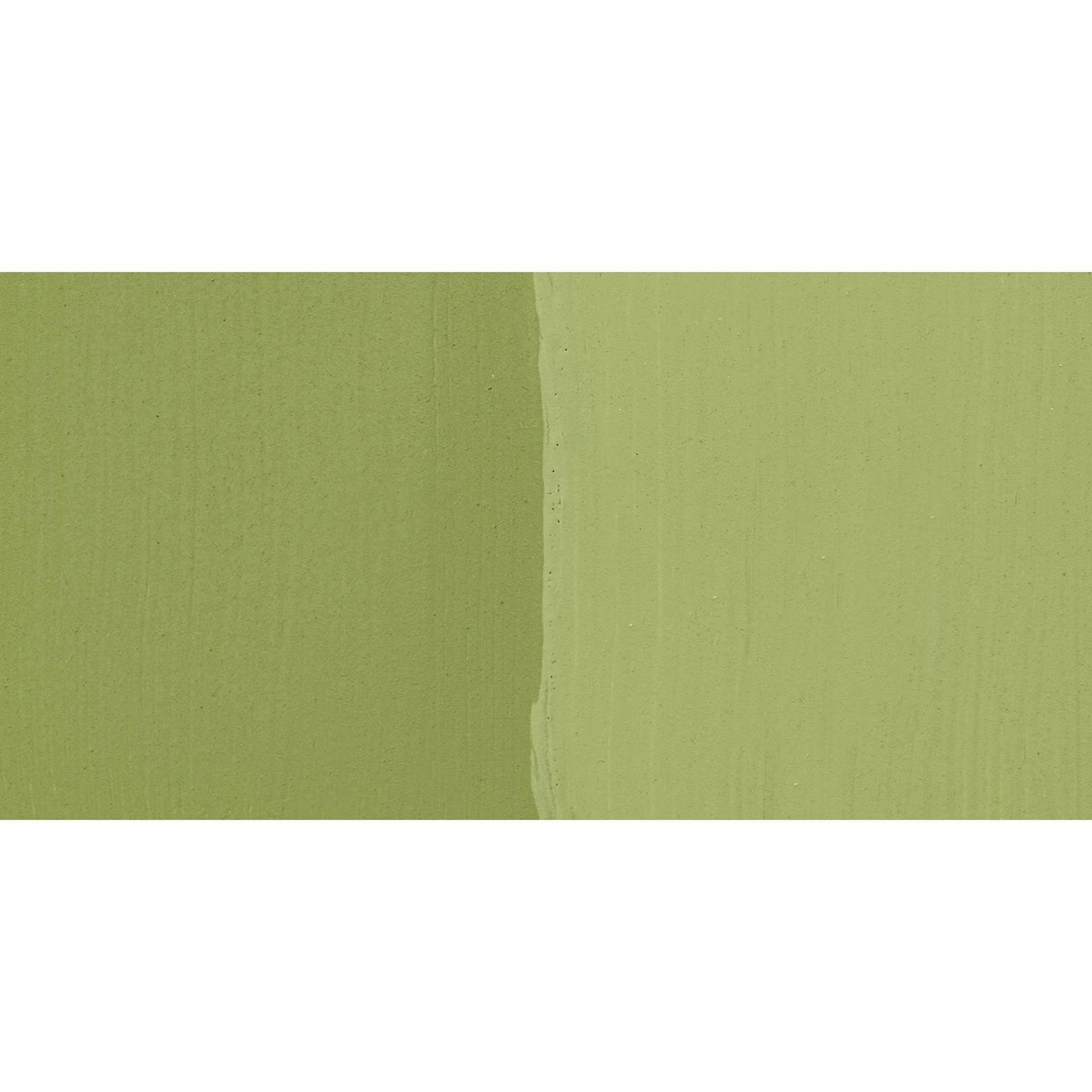 DecoArt DecoEarth Premium Reclaimed Acrylic Paint - Moss Green, swatch