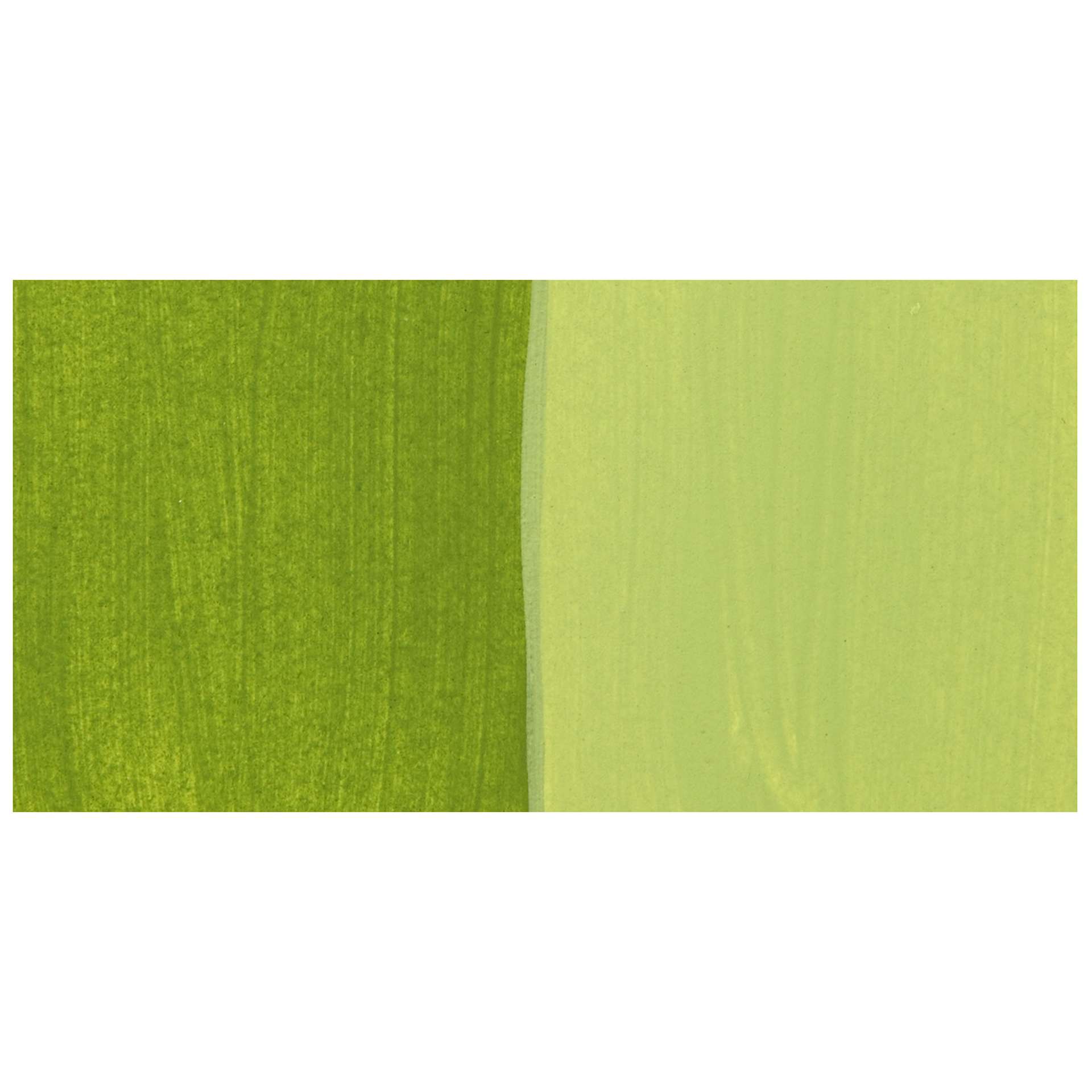 Chroma Craft Colors Acrylic Paint - Fern, swatch only