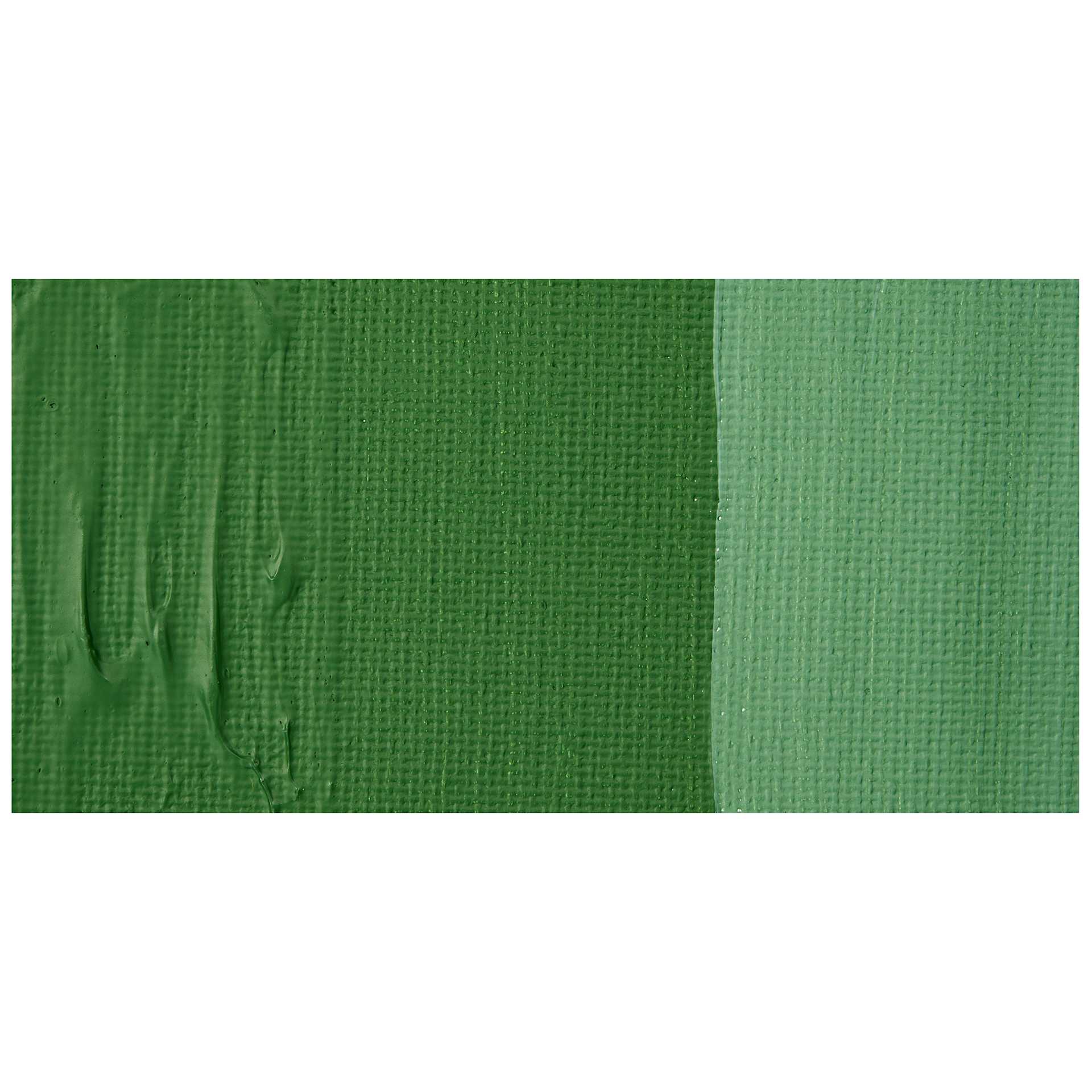 Liquitex Bio-Based Heavy Acrylic Paint - Chromium Oxide Green swatch