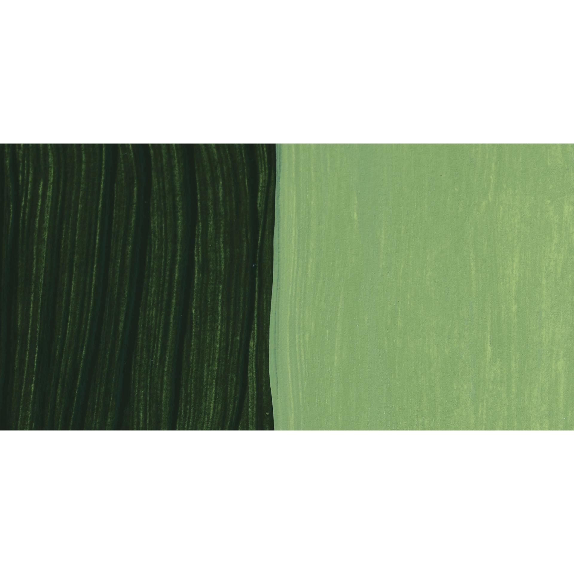 Schmincke Primacryl Professional Fluid Acrylic - Sap Green swatch