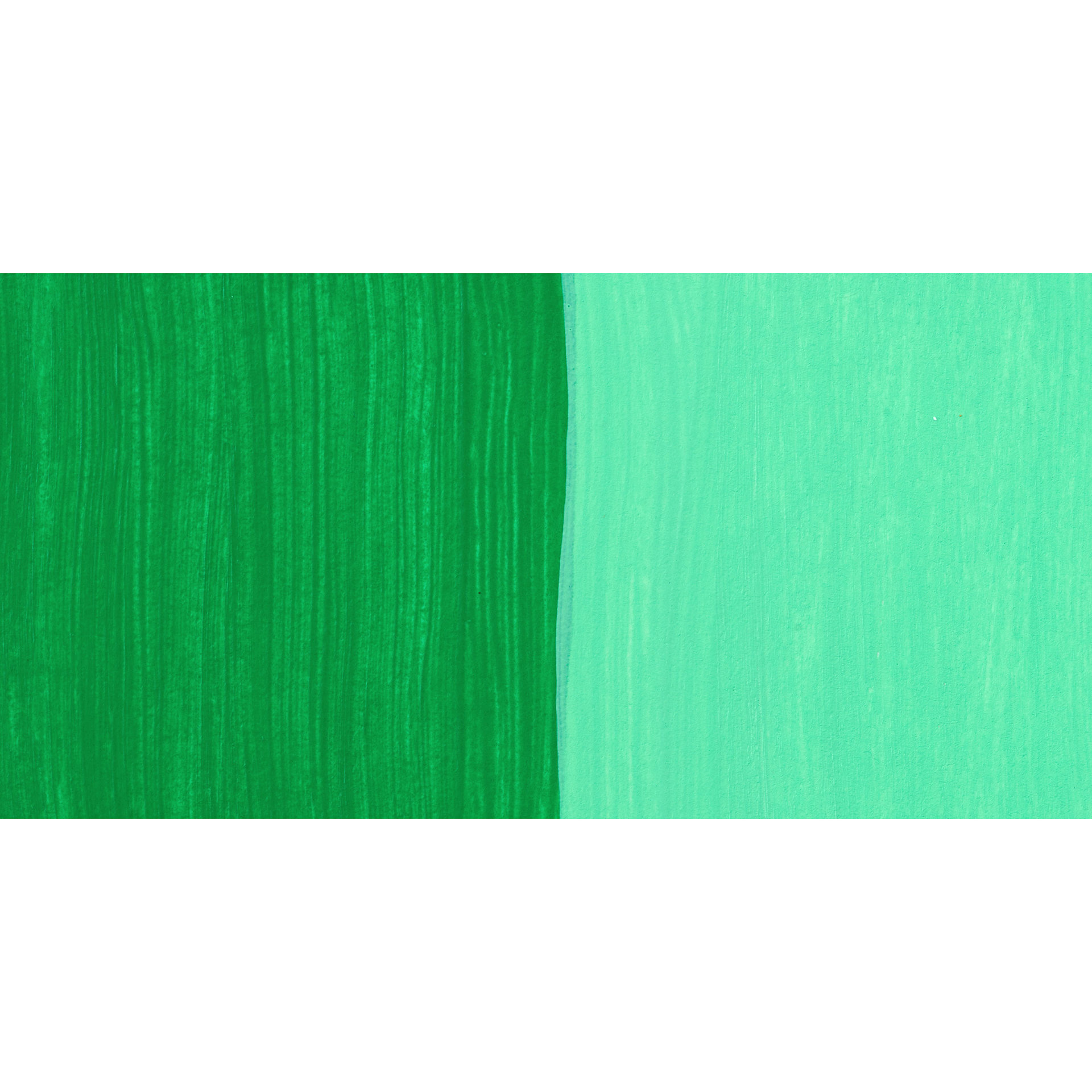 Schmincke Primacryl Professional Fluid Acrylic - Permanent Green swatch