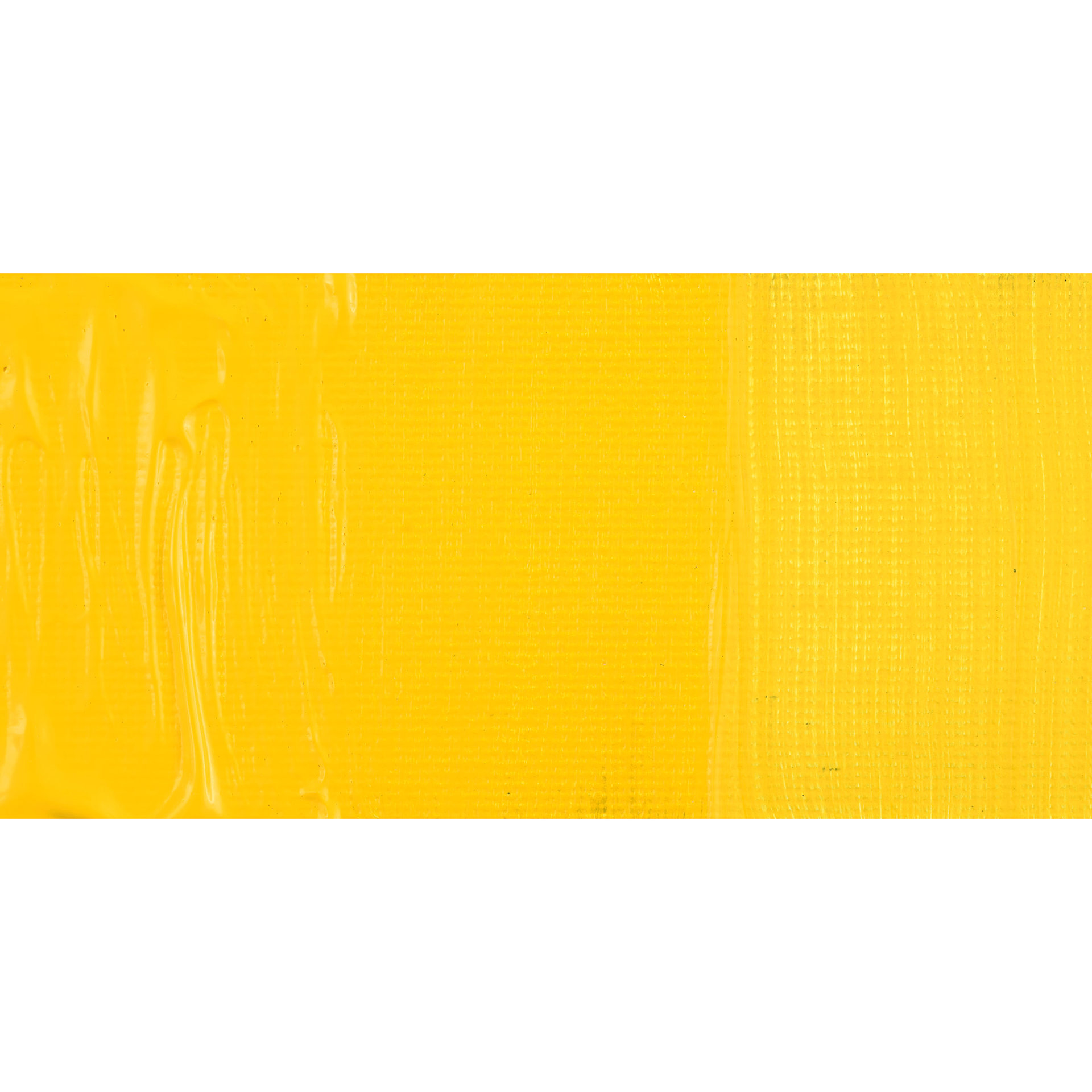 Schmincke Primacryl Professional Acrylic Paint - Cadmium Yellow Medium, swatch