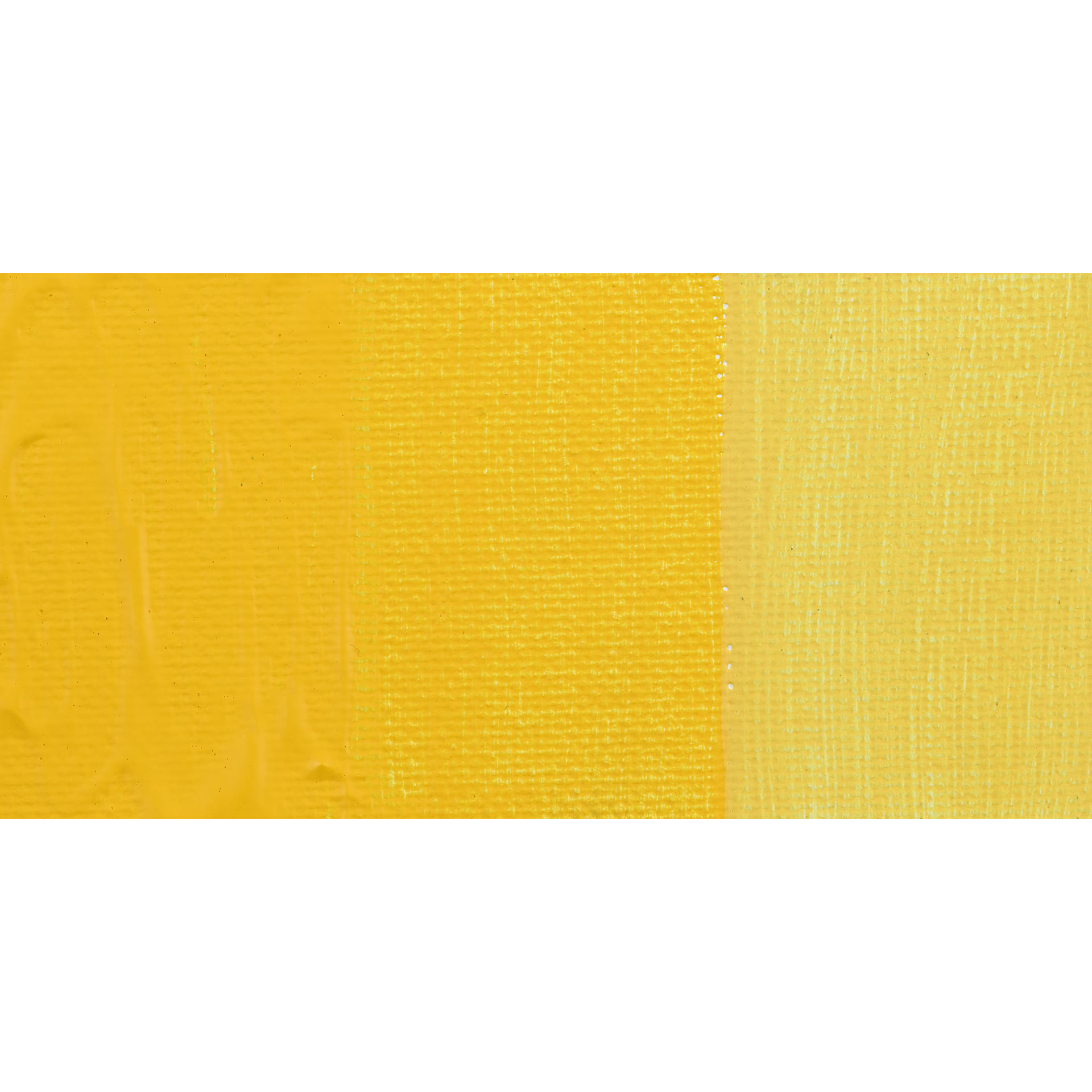 Schmincke Primacryl Professional Acrylic Paint - Titanium Gold Yellow, swatch