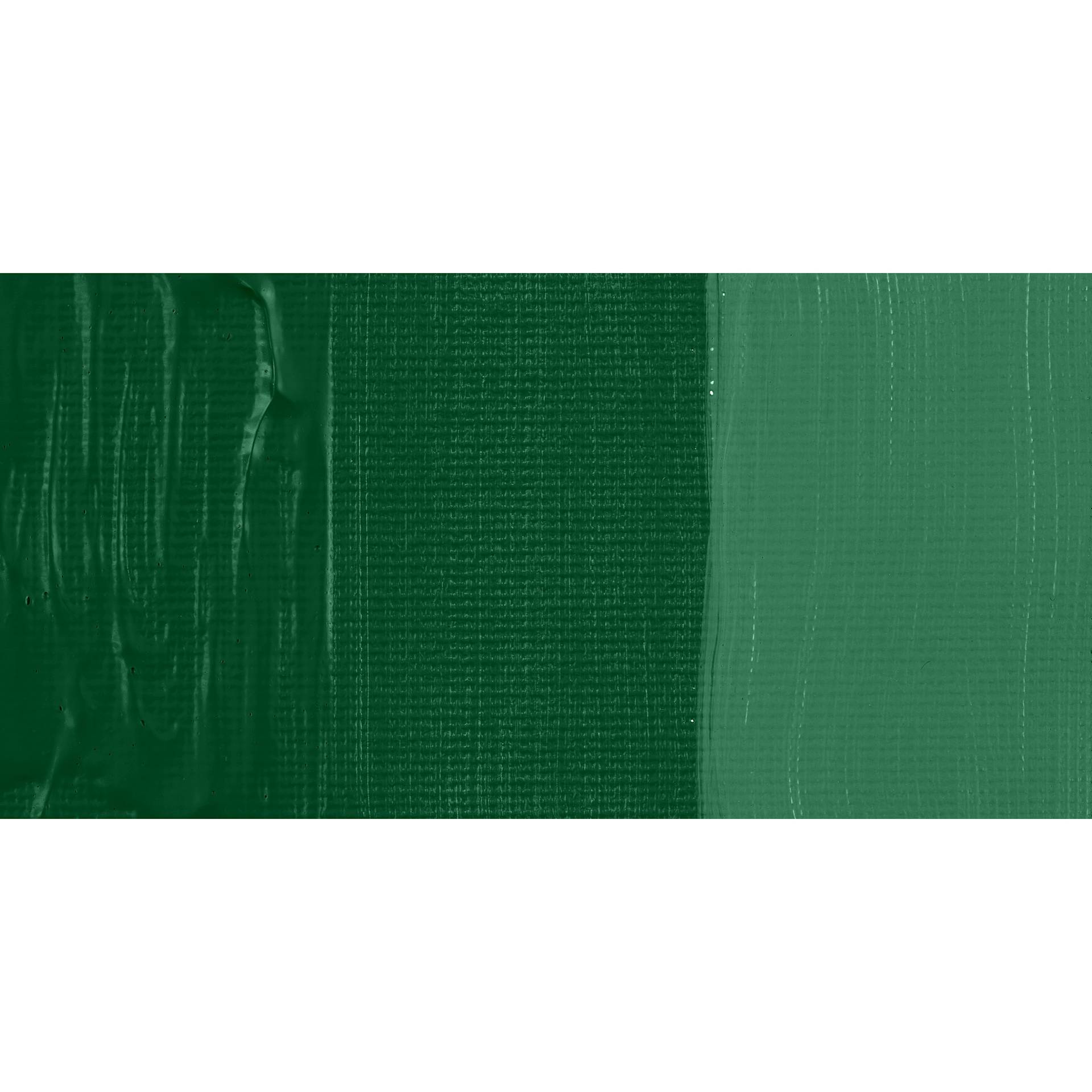 Schmincke Primacryl Professional Acrylic Paint - Sap Green, swatch