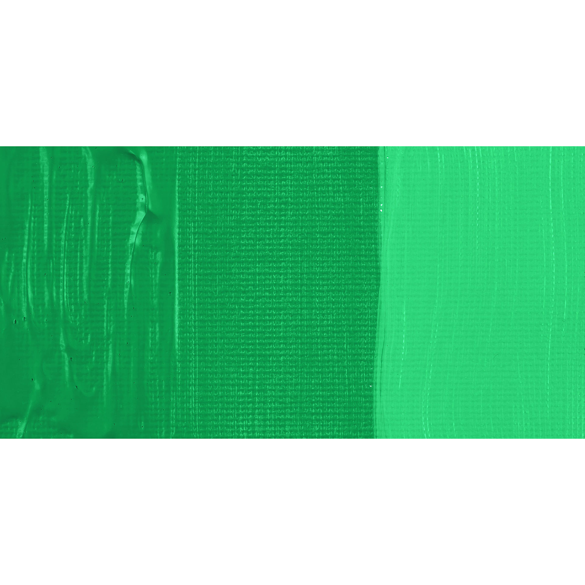 Schmincke Primacryl Professional Acrylic Paint - Permanent Green, swatch