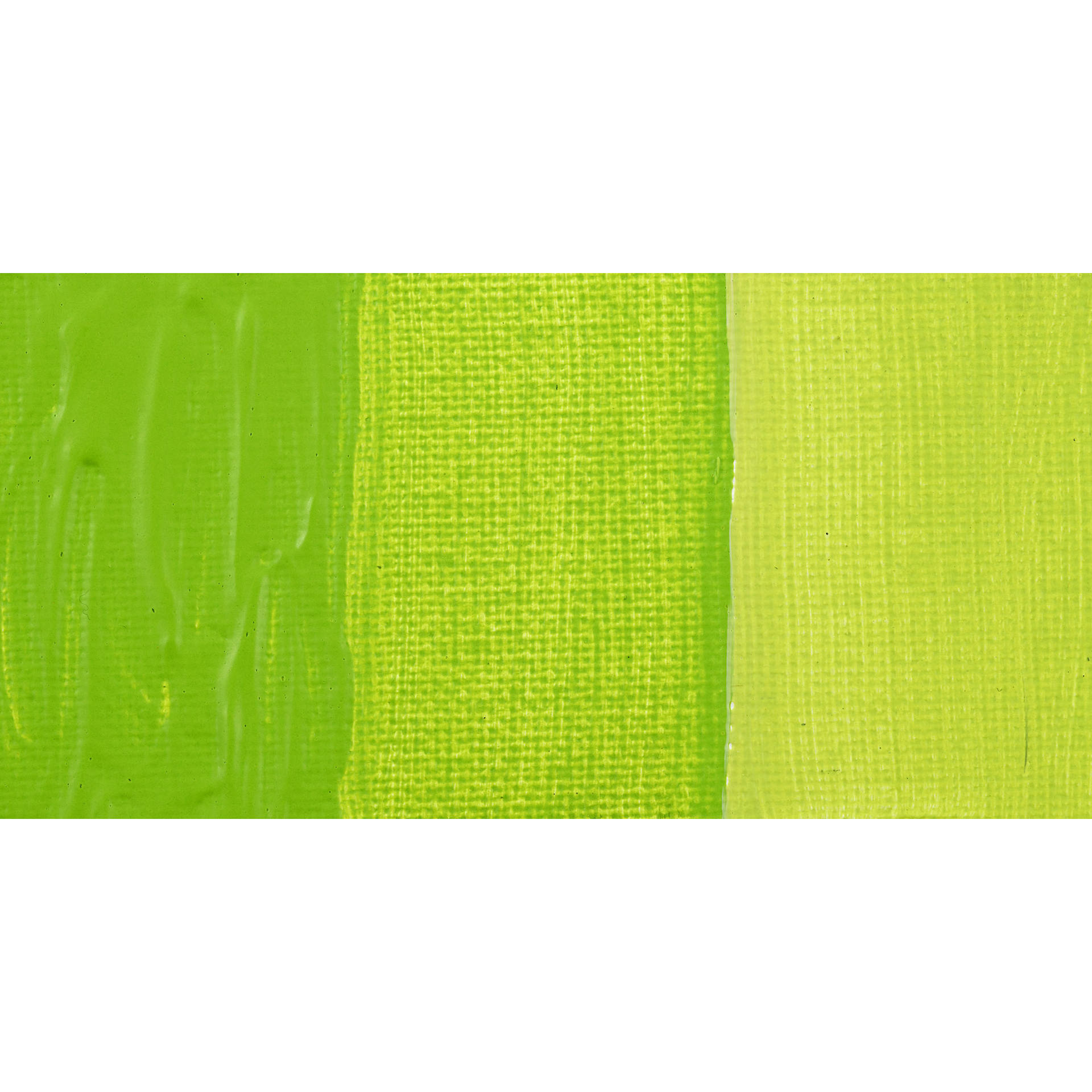 Schmincke Primacryl Professional Acrylic Paint - May Green, swatch