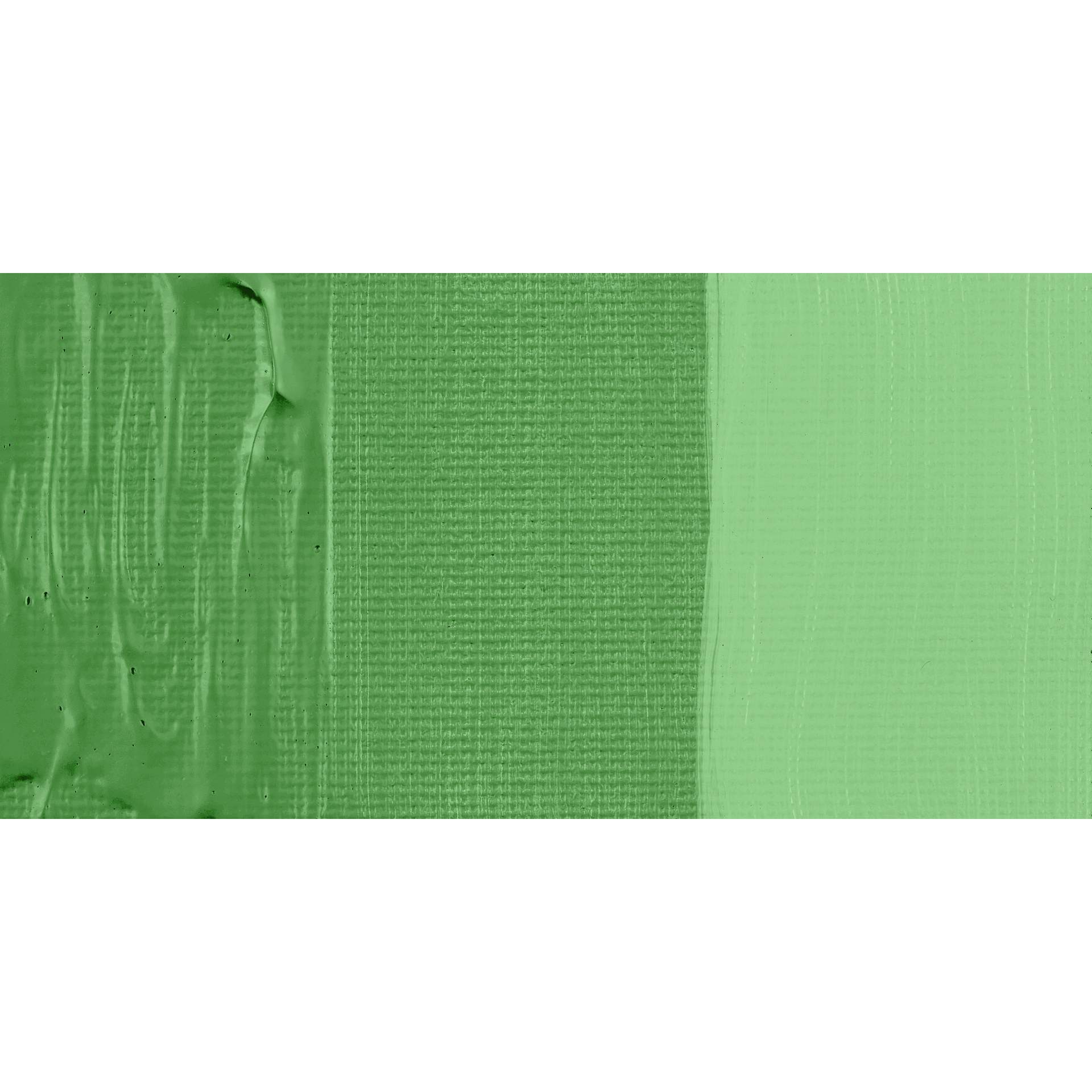 Schmincke Primacryl Professional Acrylic Paint - Vanadium Green, swatch