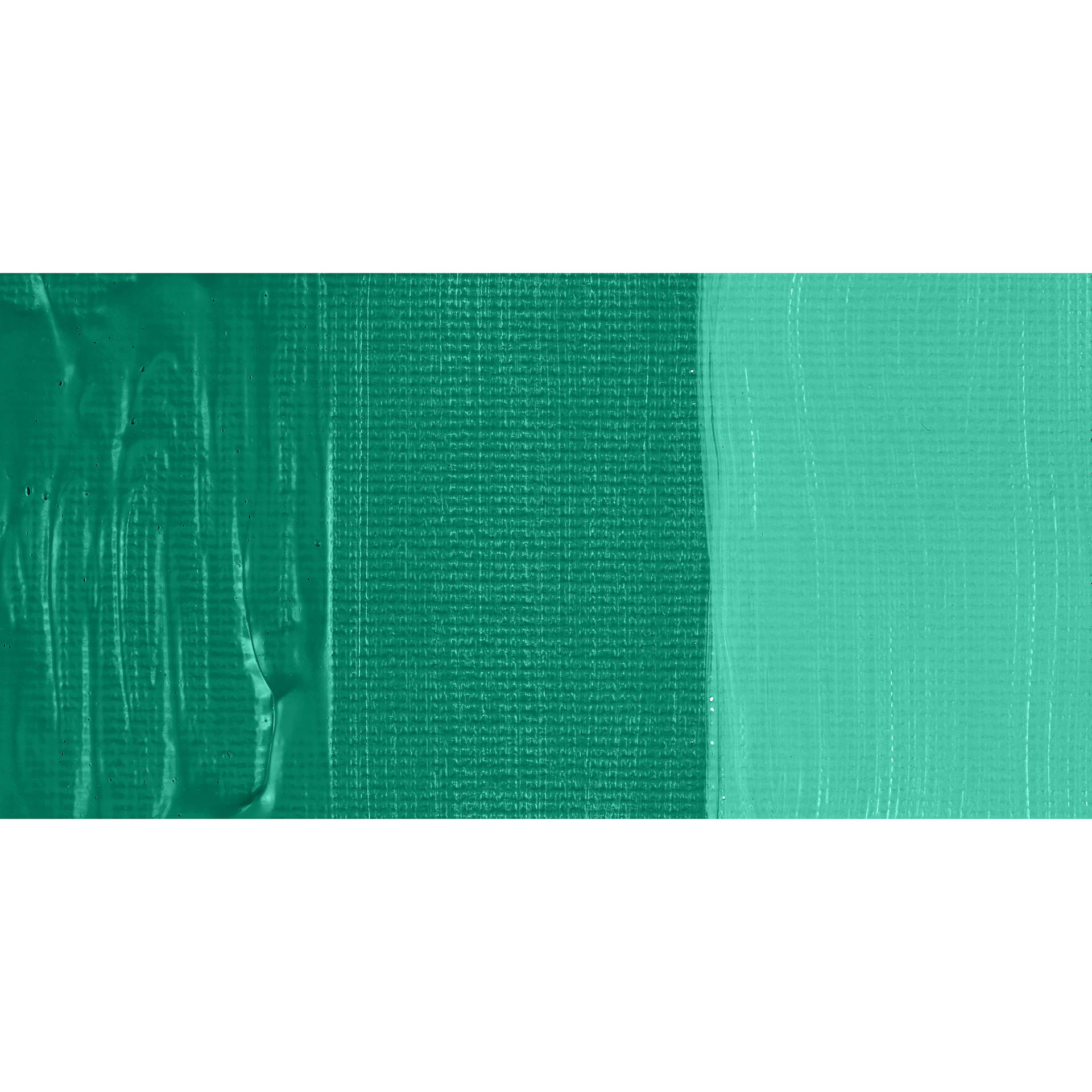 Schmincke Primacryl Professional Acrylic Paint - Chromium Oxide Green Brilliant, swatch