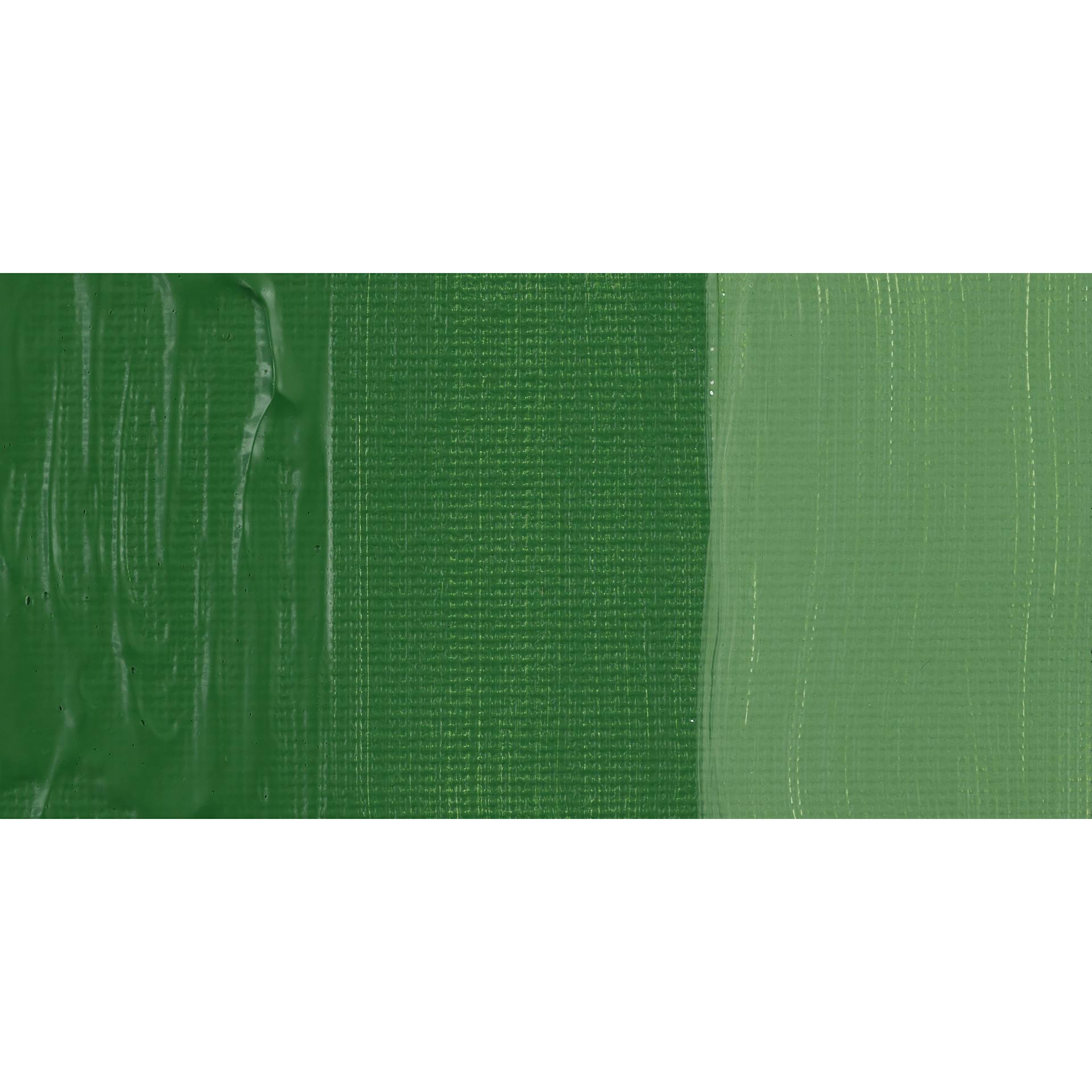 Schmincke Primacryl Professional Acrylic Paint - Chromium Oxide Green, swatch