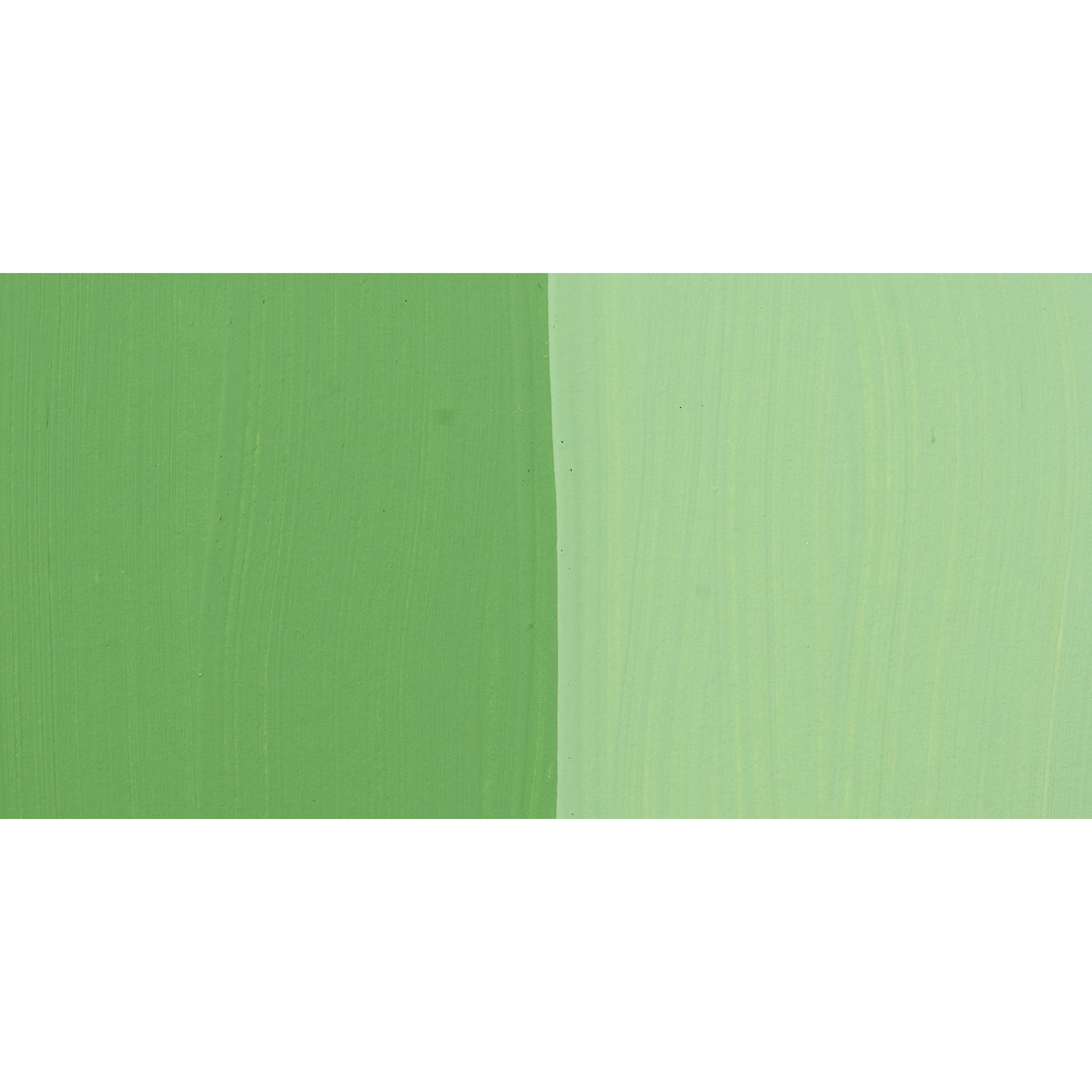 Chroma's Jo Sonja Color Trends Acrylic Paint - Seedlings - Swatch