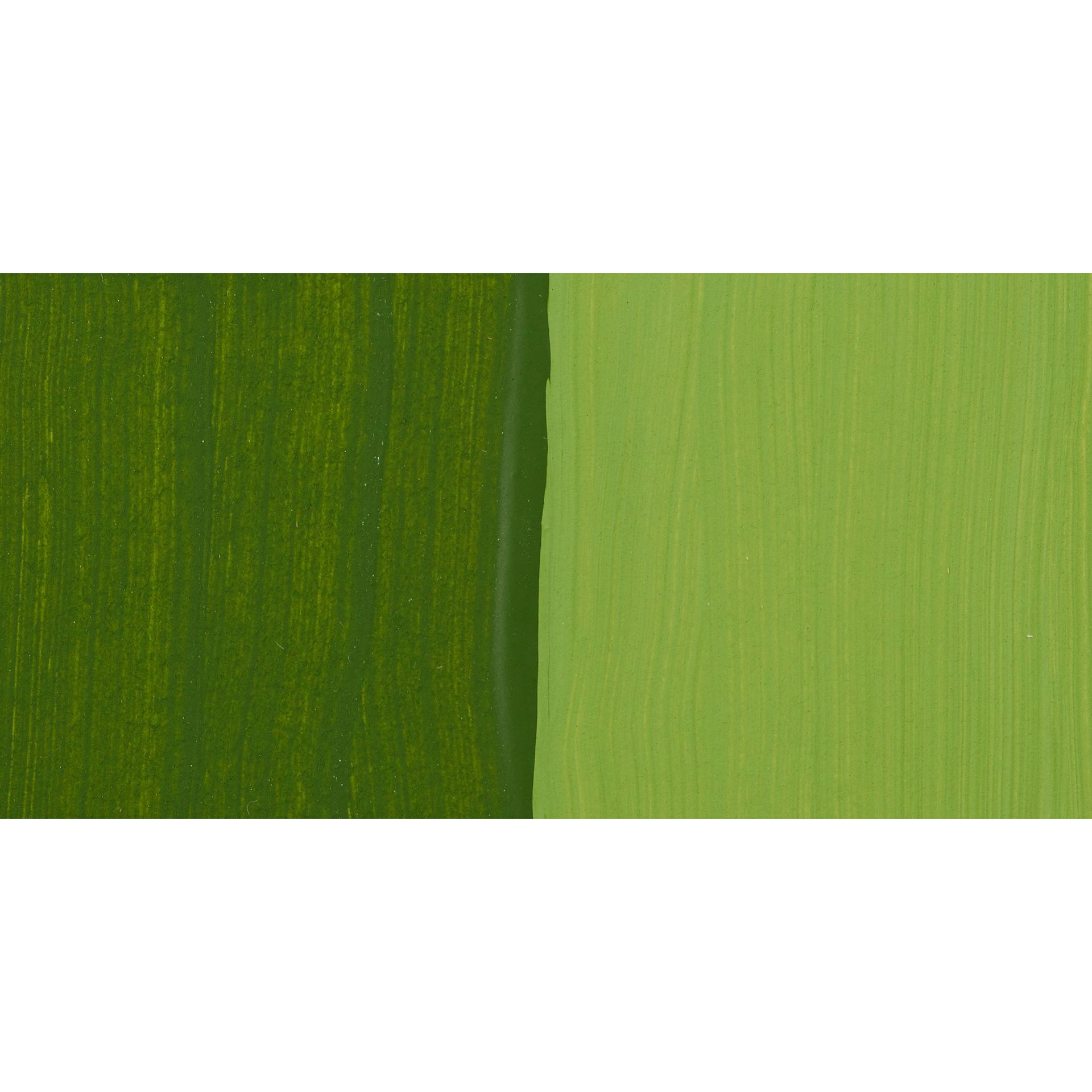 Chroma's Jo Sonja Color Trends Acrylic Paint - Shamrock - Swatch