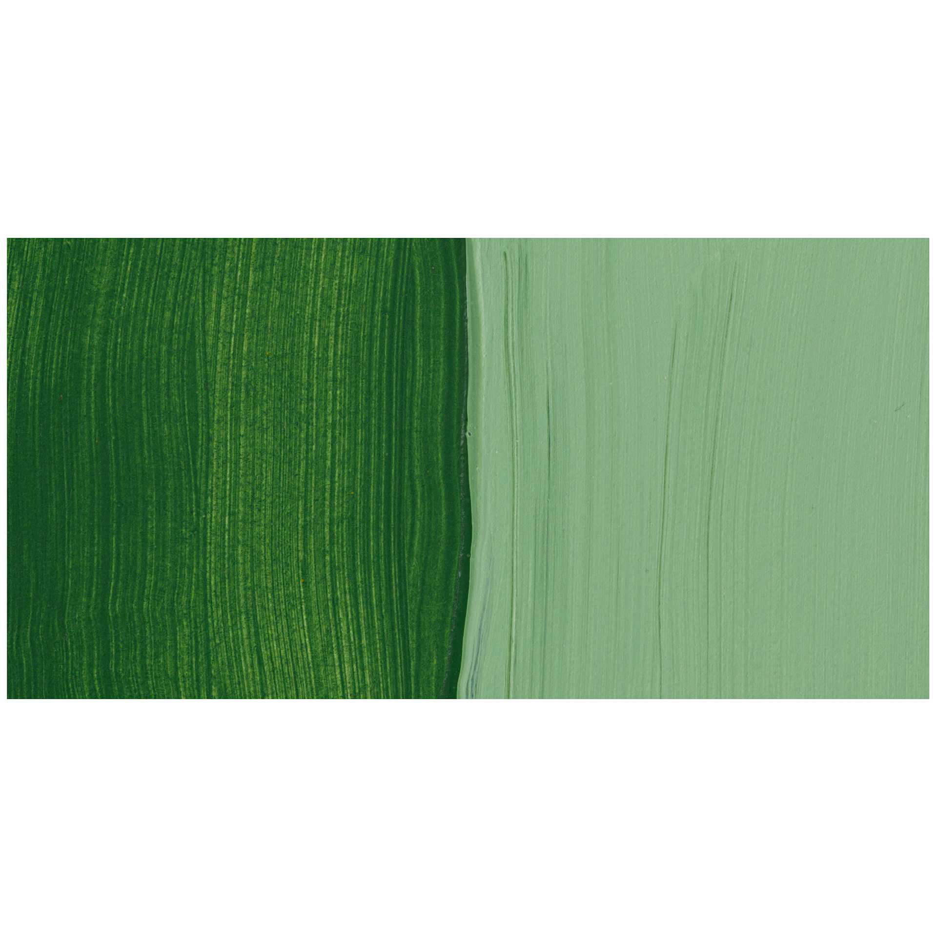 FolkArt Multi-Surface Acrylic Paint - Classic Green swatch