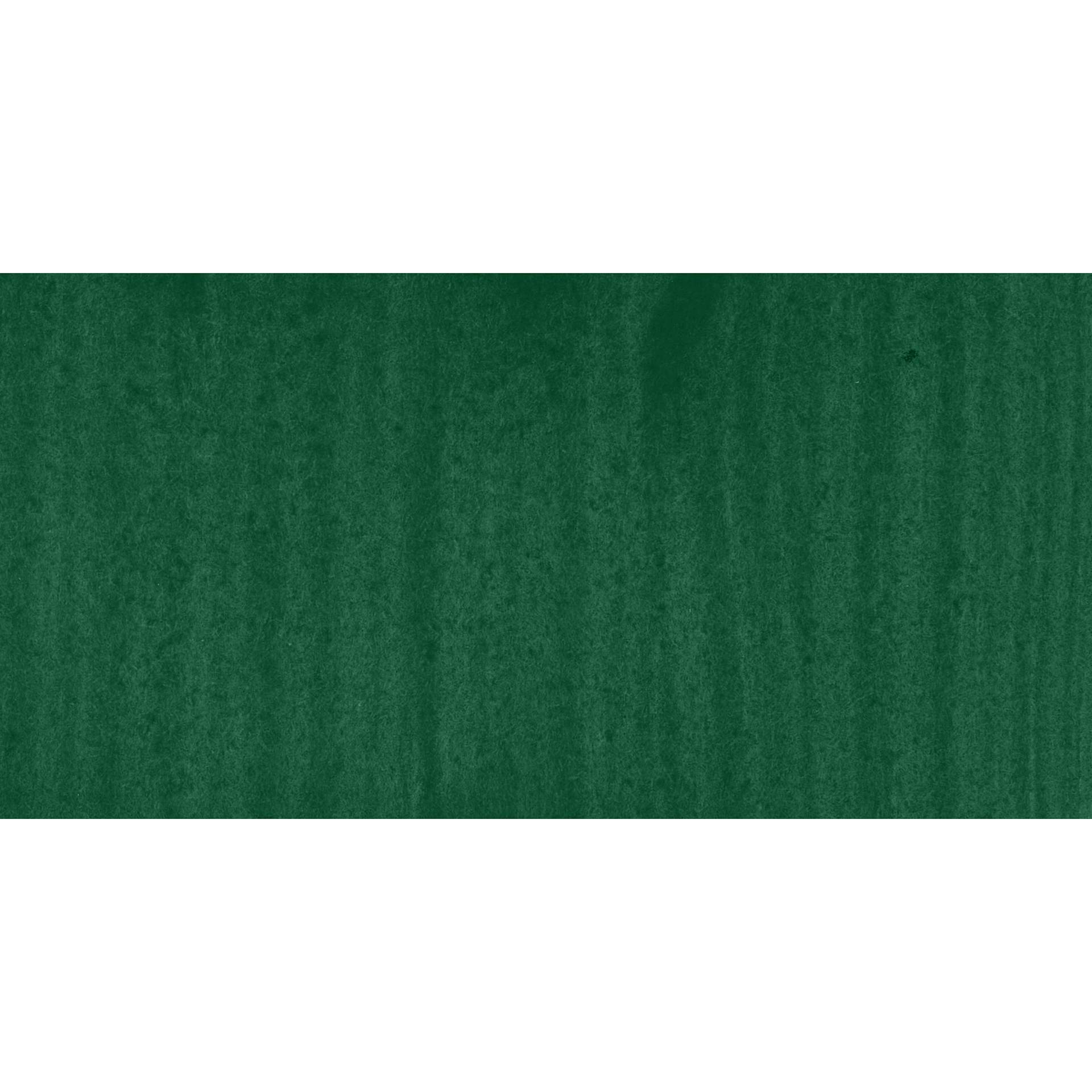 Vallejo Xpress Color Acrylic Paint - Forest Green swatch