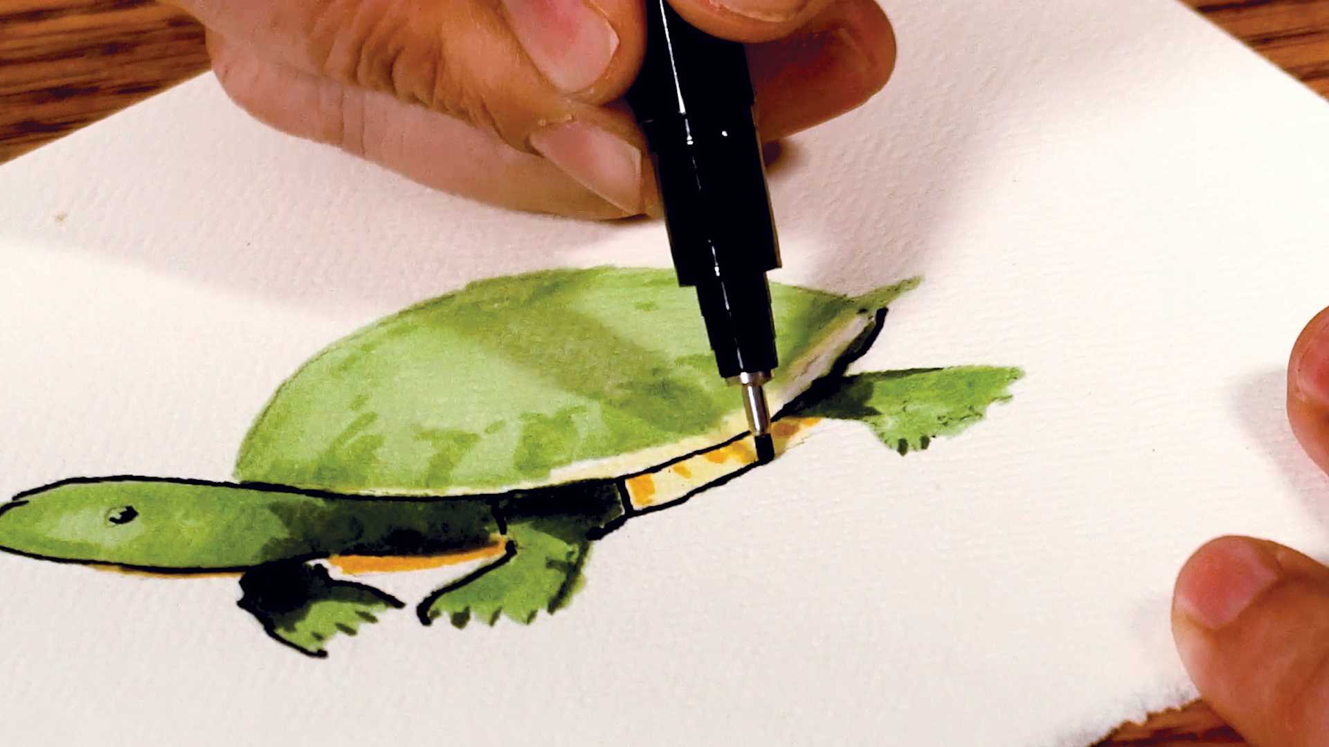 Strathmore Creative Cards and Envelopes, turtle artwork, close-up