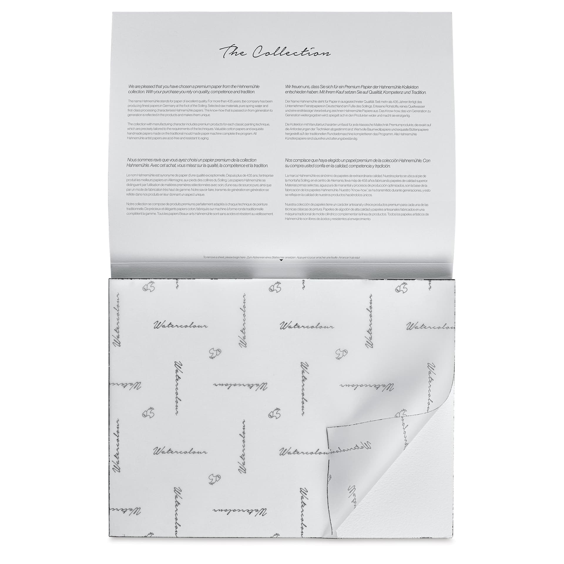 Hahnemühle The Collection Watercolor Block - Cold Press, 9.4" x 12.6", 300 lb, 10 Sheets cover sheet on block