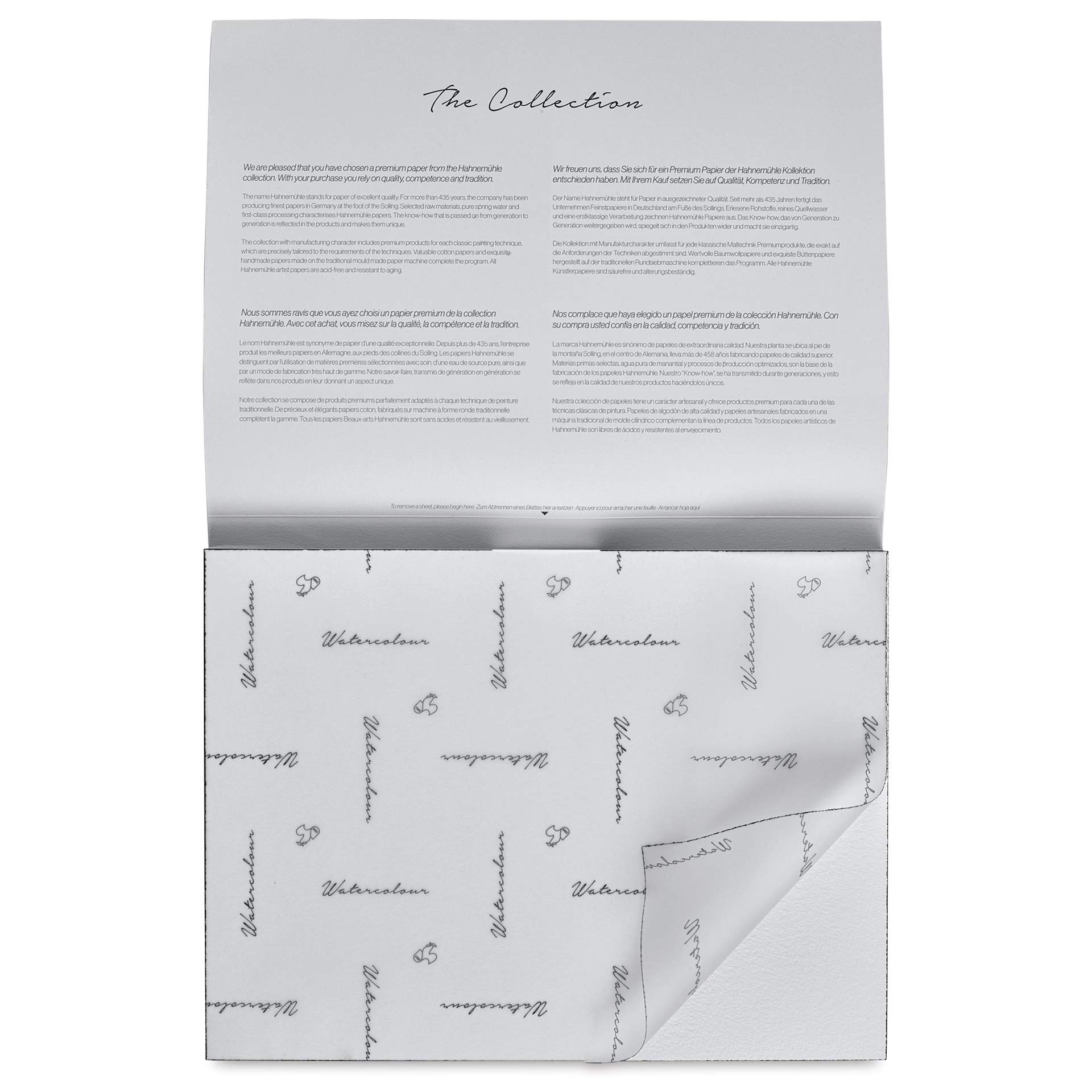 Hahnemühle The Collection Watercolor Block - Rough, 9.4" x 12.6", 300 lb, 10 Sheets cover sheet on block