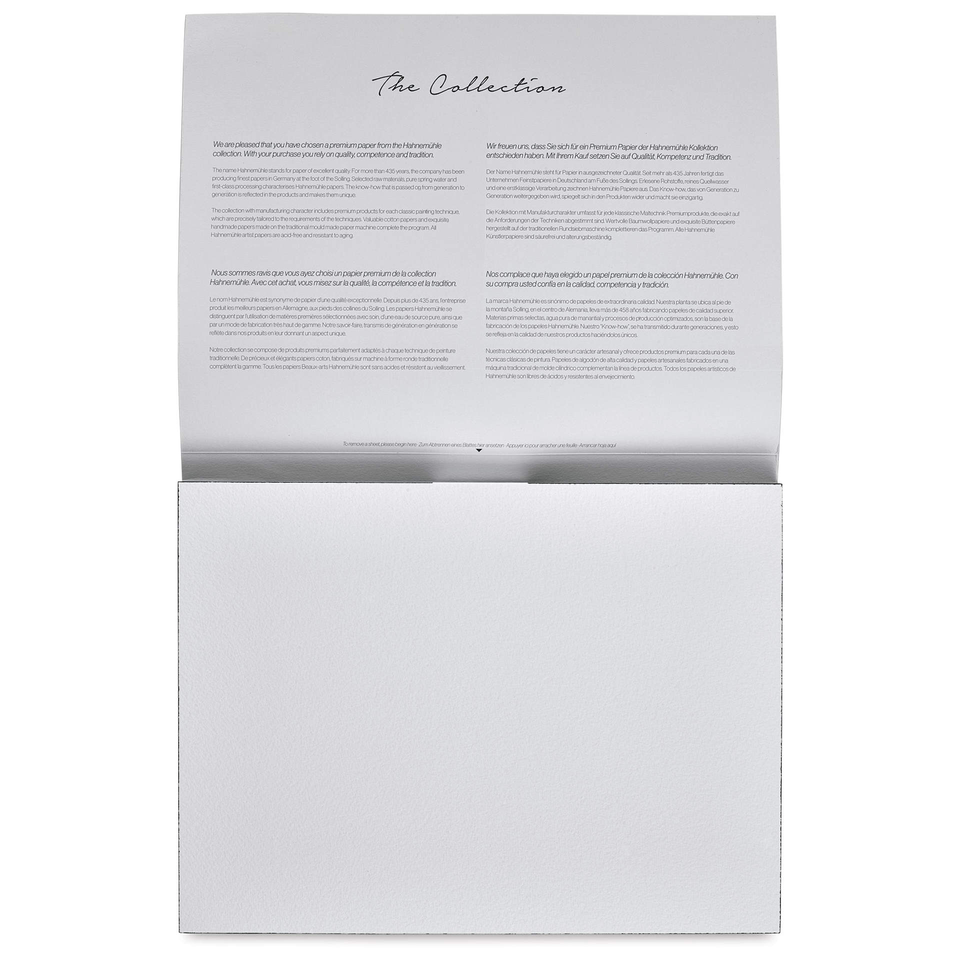 Hahnemühle The Collection Watercolor Block - Rough, 9.4" x 12.6", 300 lb, 10 Sheets open to first page