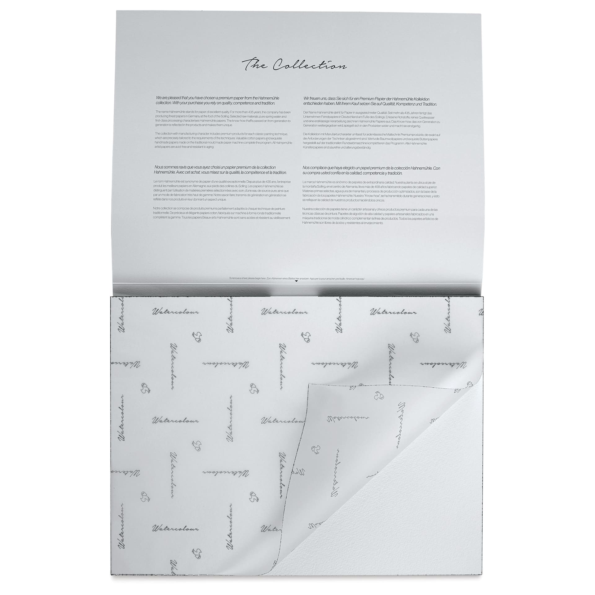 Hahnemühle The Collection Watercolor Block - Rough, 11.8" x 15.7", 300 lb, 10 Sheets cover sheet on block