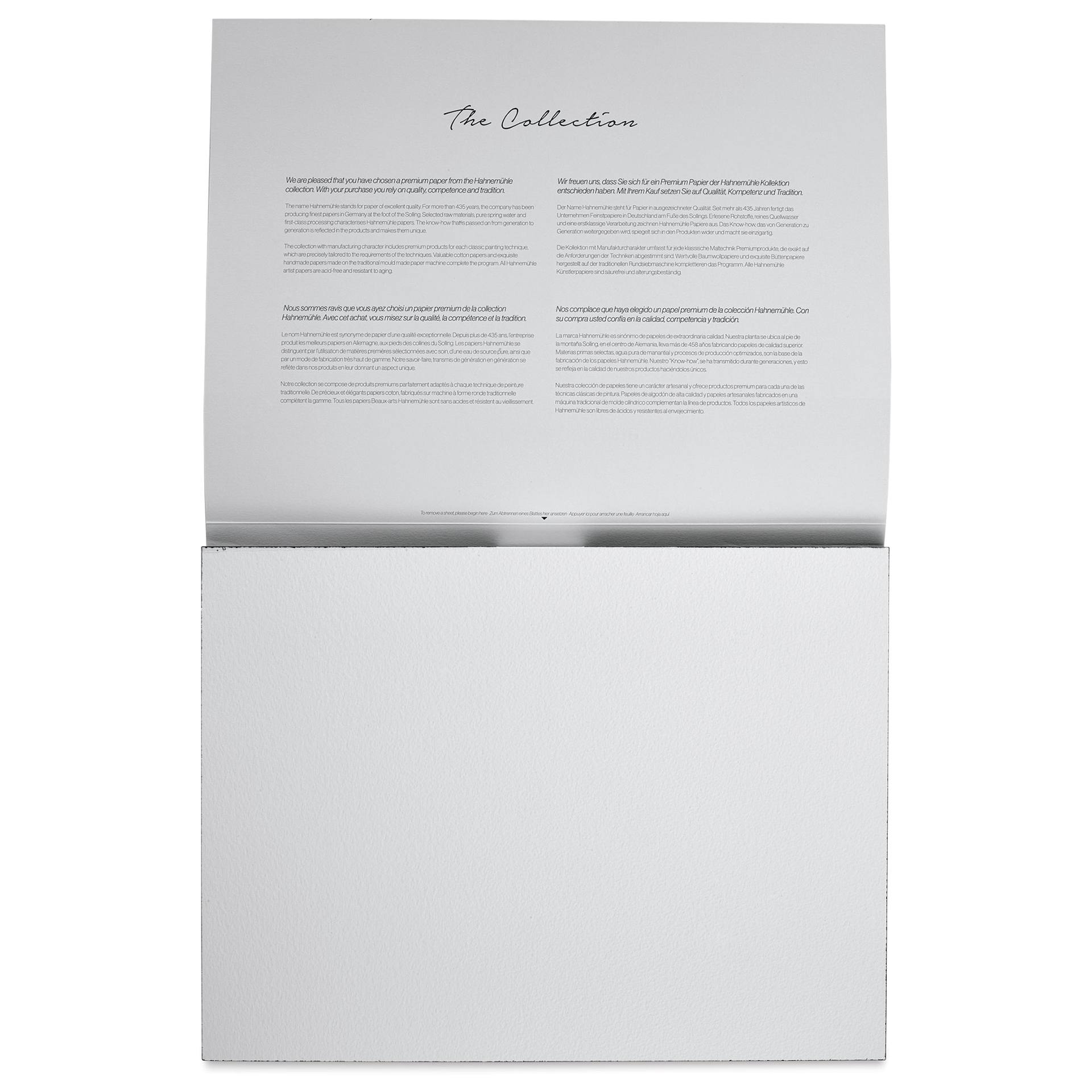 Hahnemühle The Collection Watercolor Block - Rough, 11.8" x 15.7", 300 lb, 10 Sheets open to first page