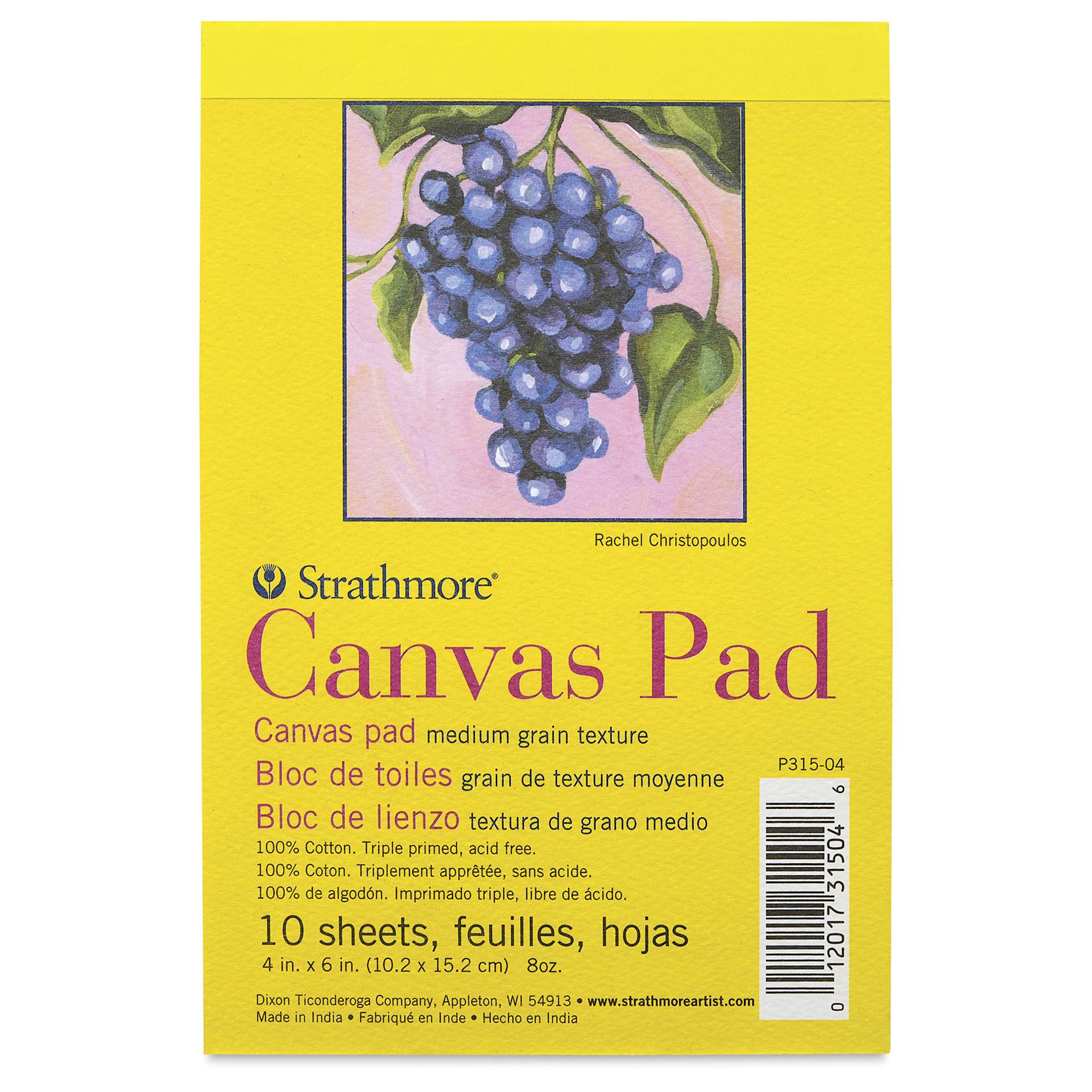 Strathmore 300 Series Cotton Canvas Pad - 4" x 6", 10 Sheets, front cover