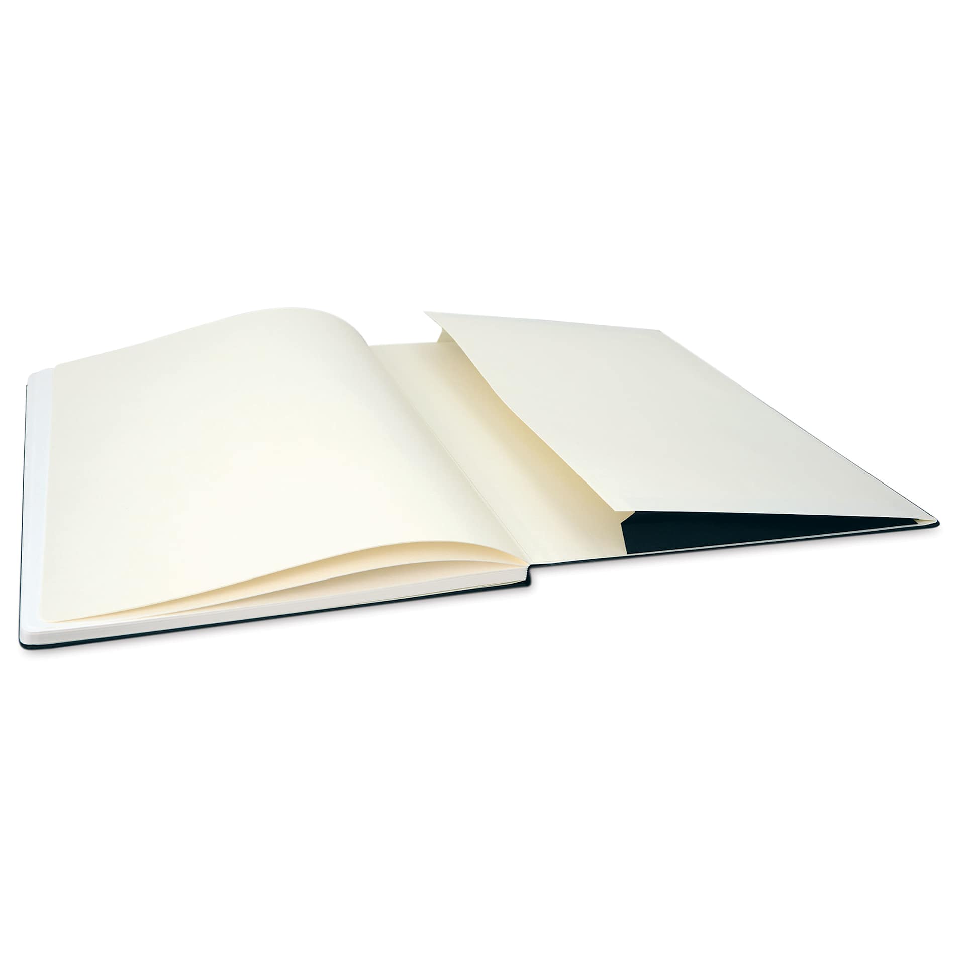 Moleskine Art Collection Watercolor Notebook - 16-1/2" x 12", Portrait, 60 Pages (open to back pocket)