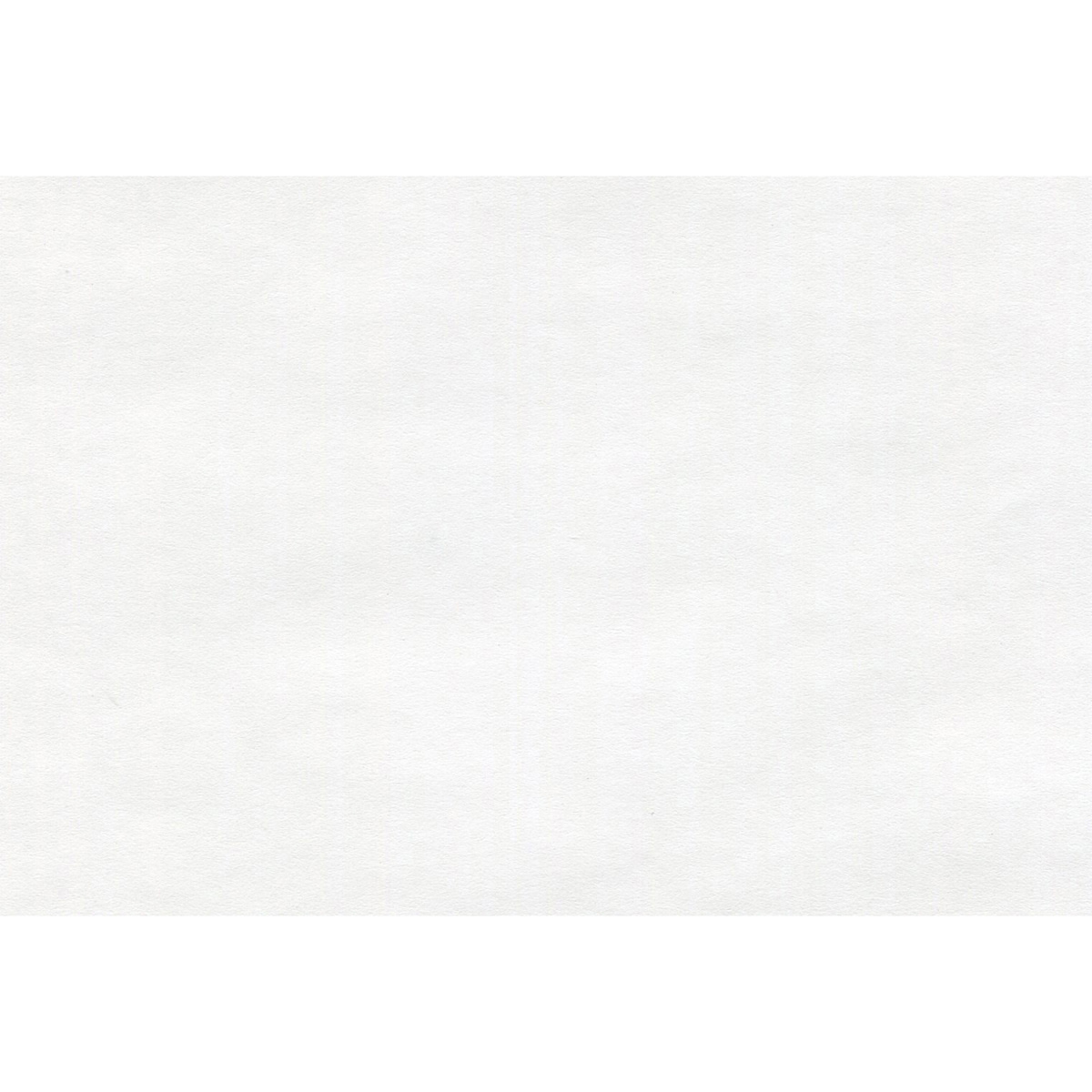 Canson Bond Poster Roll, 18 in x 25 yds.