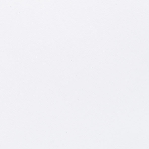 Legion Moab Lasal Photo Paper - Single sheet of Matte finish to show color and brightness