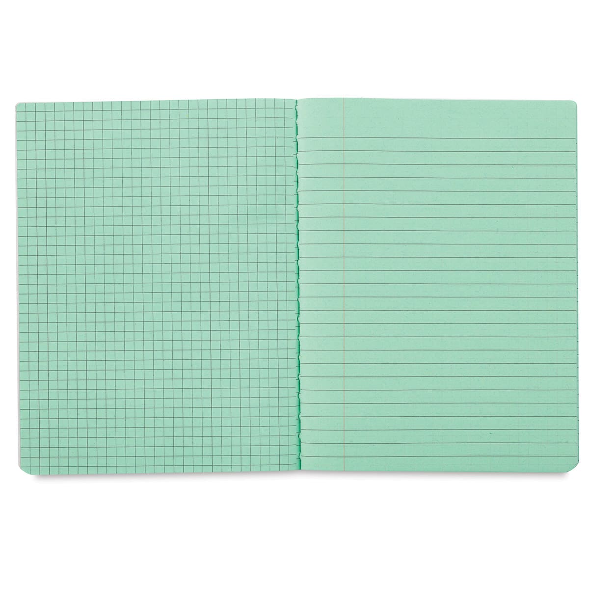 Pacon Dual Ruled Composition Books - Inside spread of Green book showing grid and lined pages