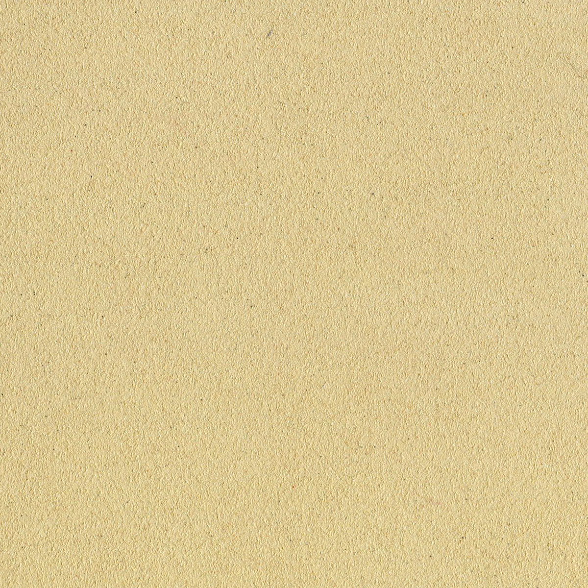 Sennelier La Carte Pastel Card - 19" x 25", Antique White