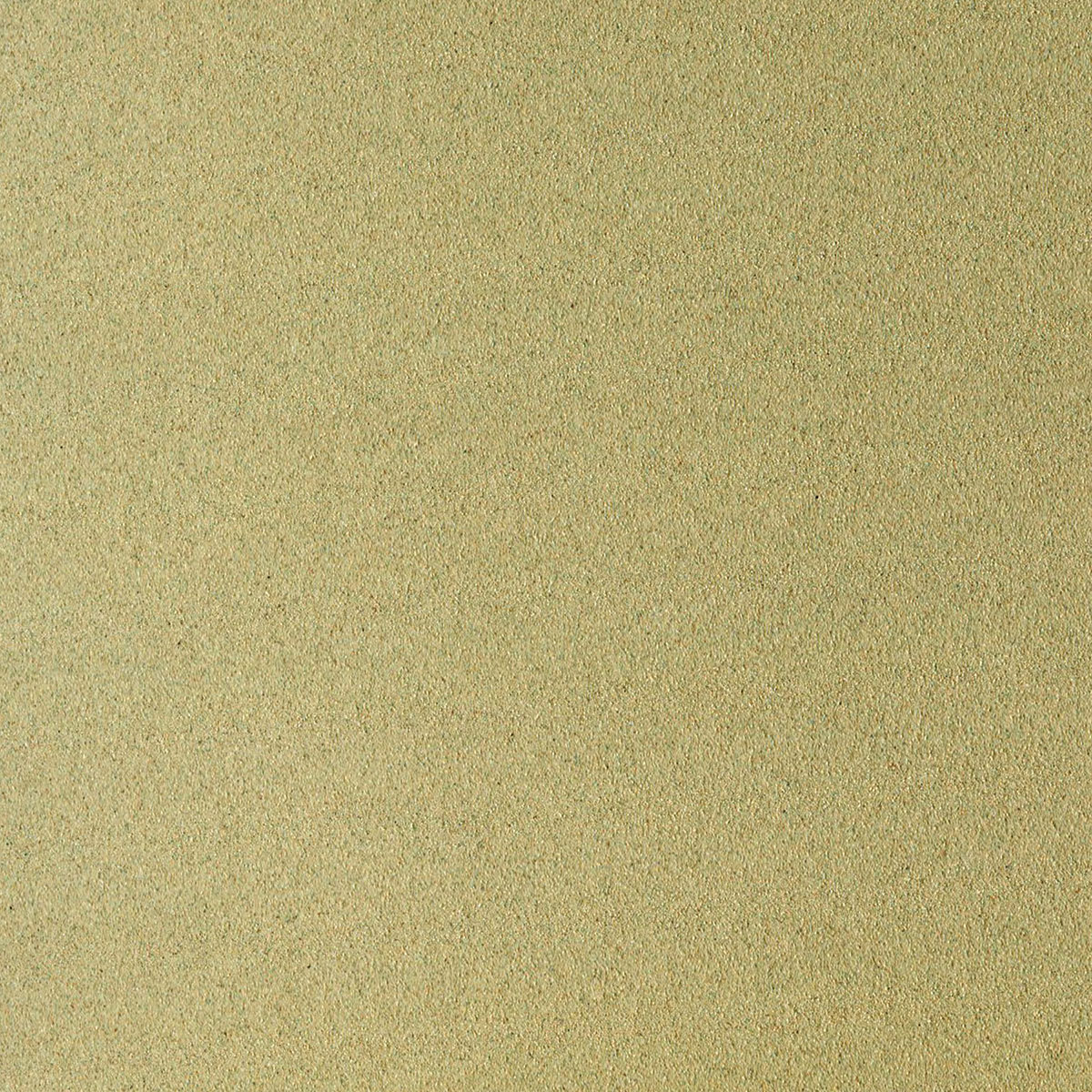 Sennelier La Carte Pastel Card - 19" x 25", Light Green