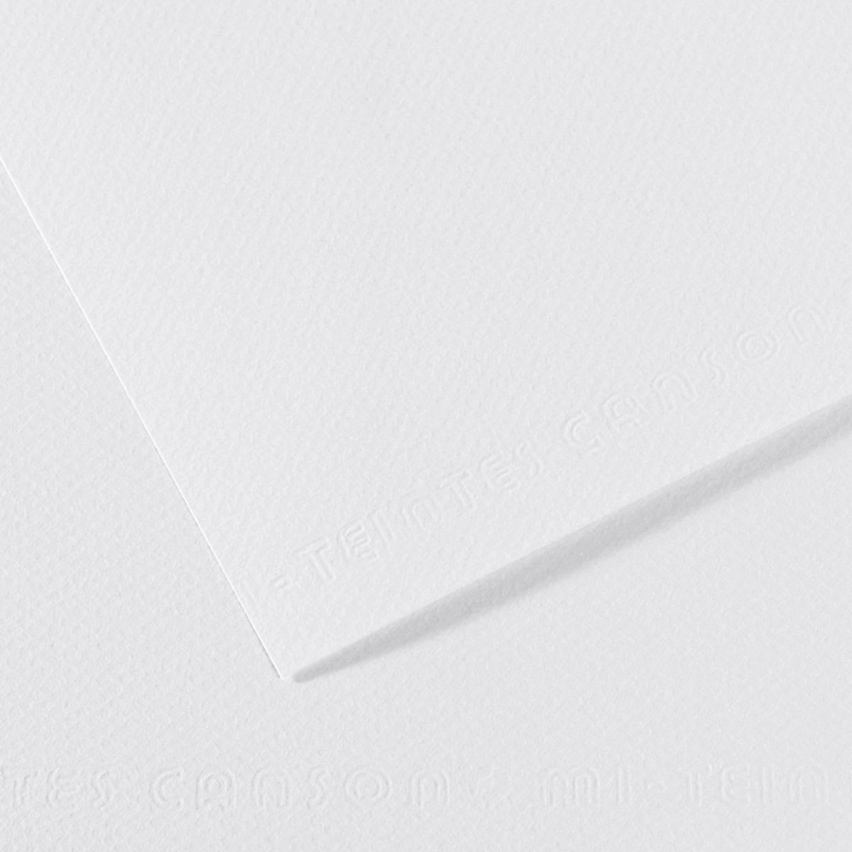 Canson Mi-Teintes Drawing Paper- 19" x 25", White, Single Sheet