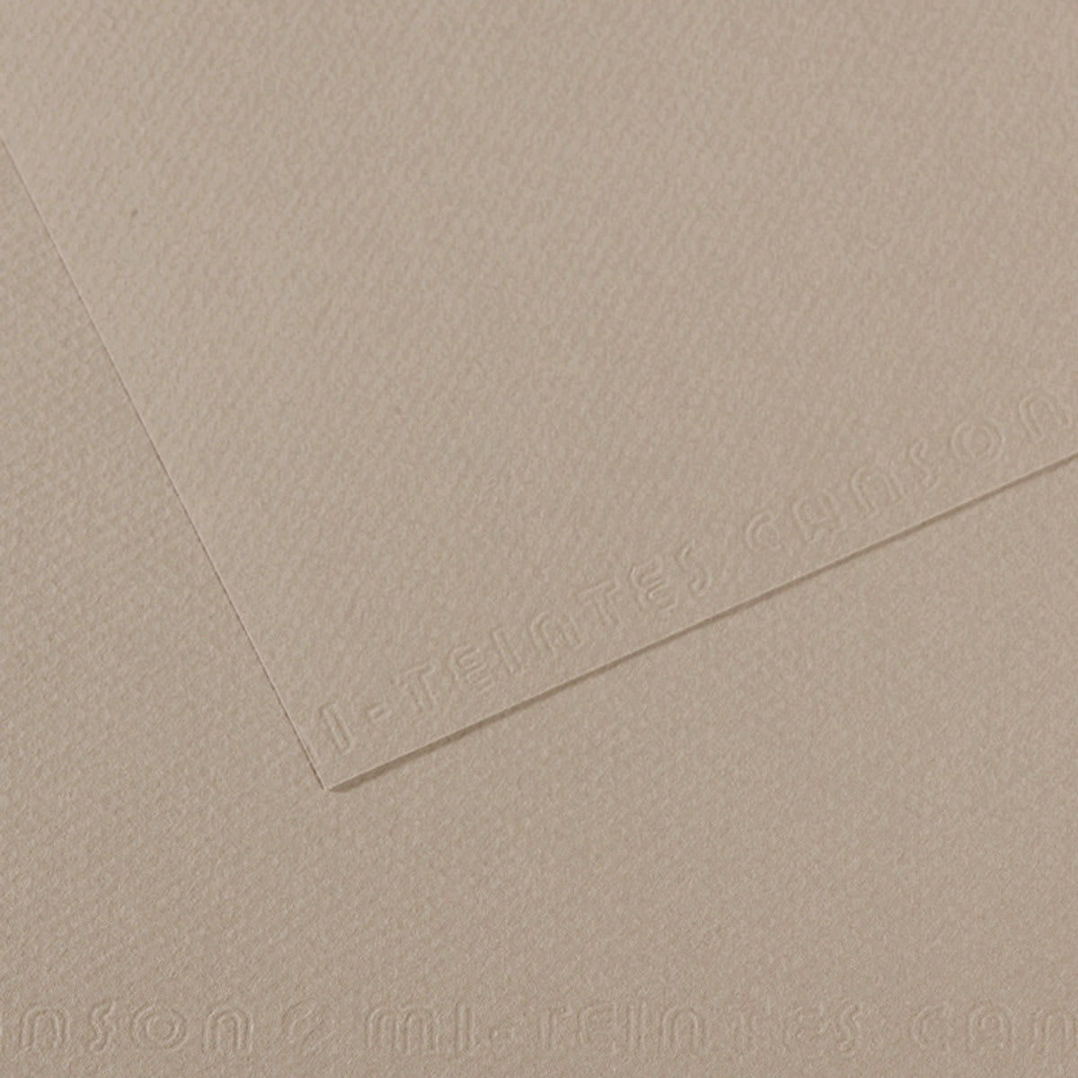 Canson Mi-Teintes Drawing Paper - 19" x 25", Flannel Gray, Single Sheet